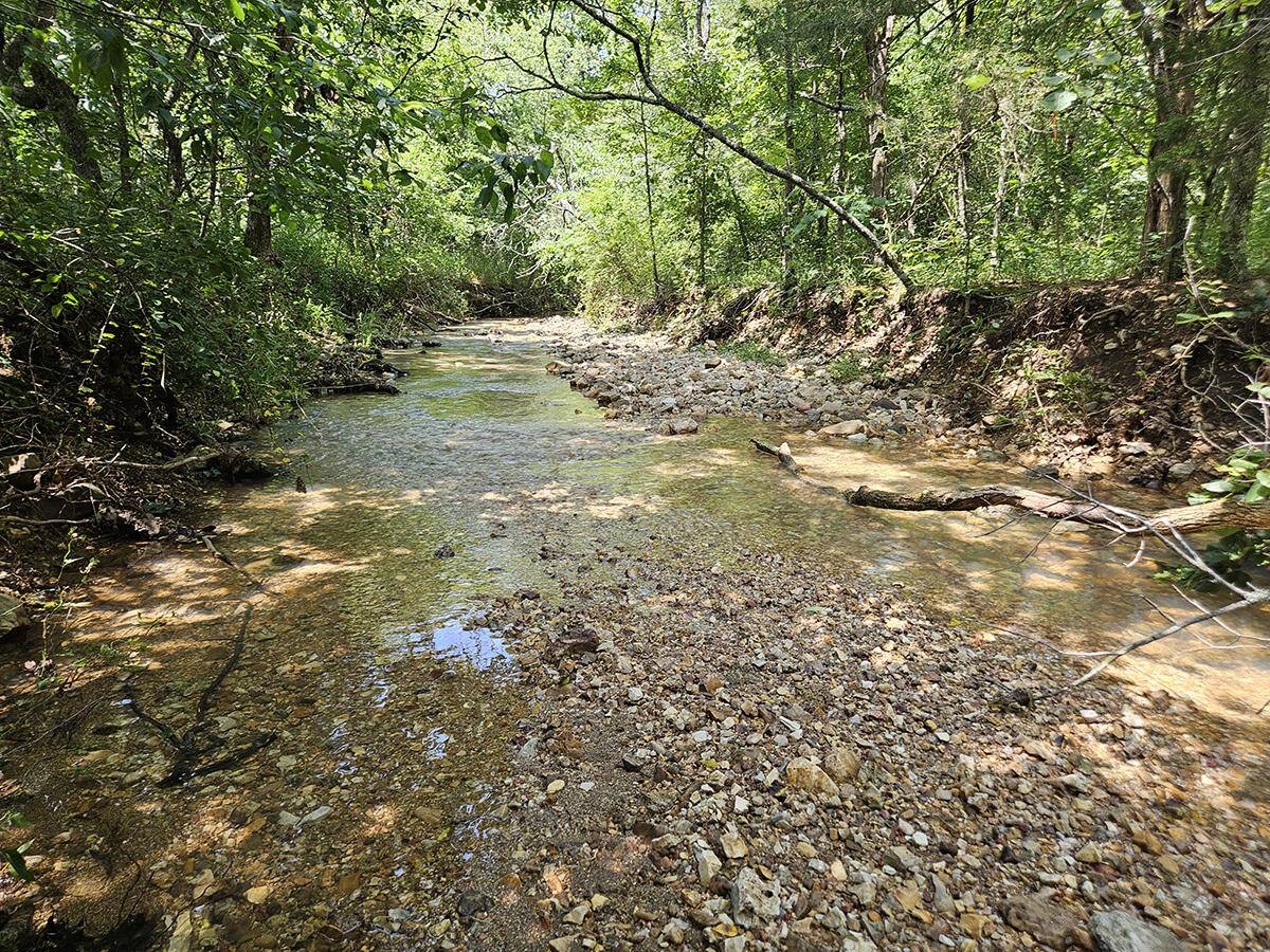 3699 Highway M, Cabool, MO 65689