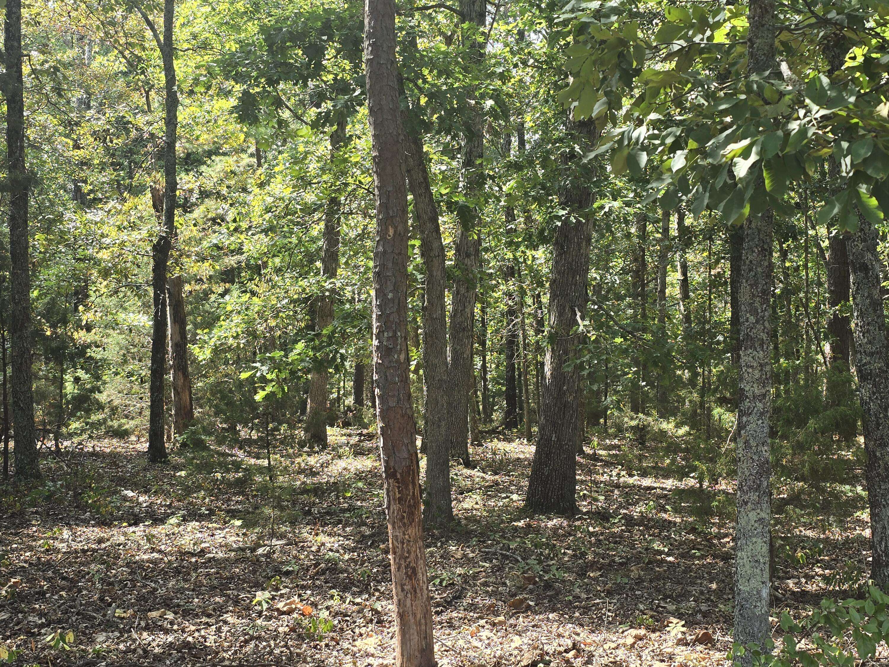 000 Minera Mineral DR, Houston, MO 65483
