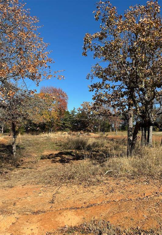 19668 Dove Ridge Drive, Lindale, TX 75771
