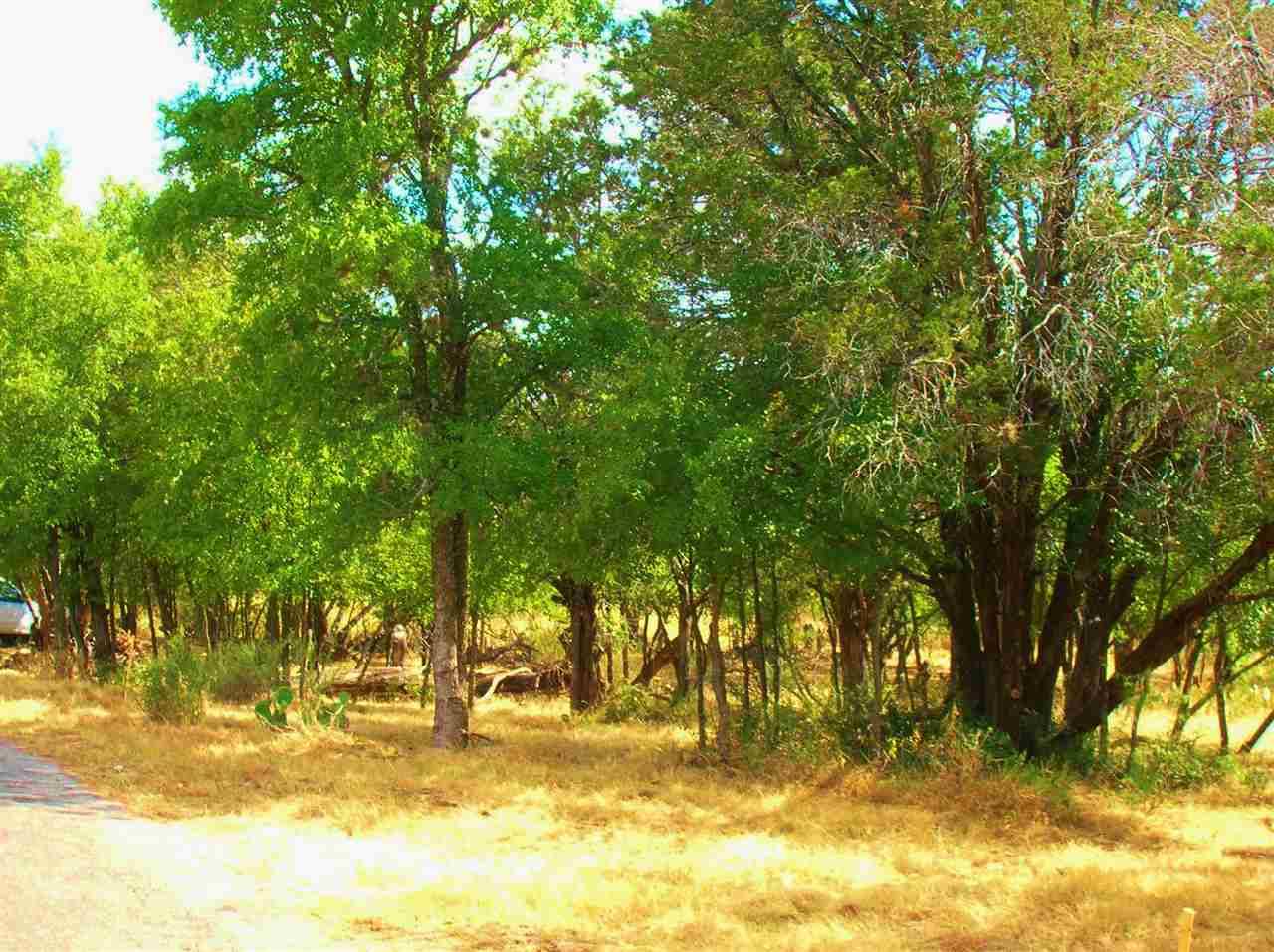 737 Birch 8 Lots All Together, Cottonwood Shores, TX 78657