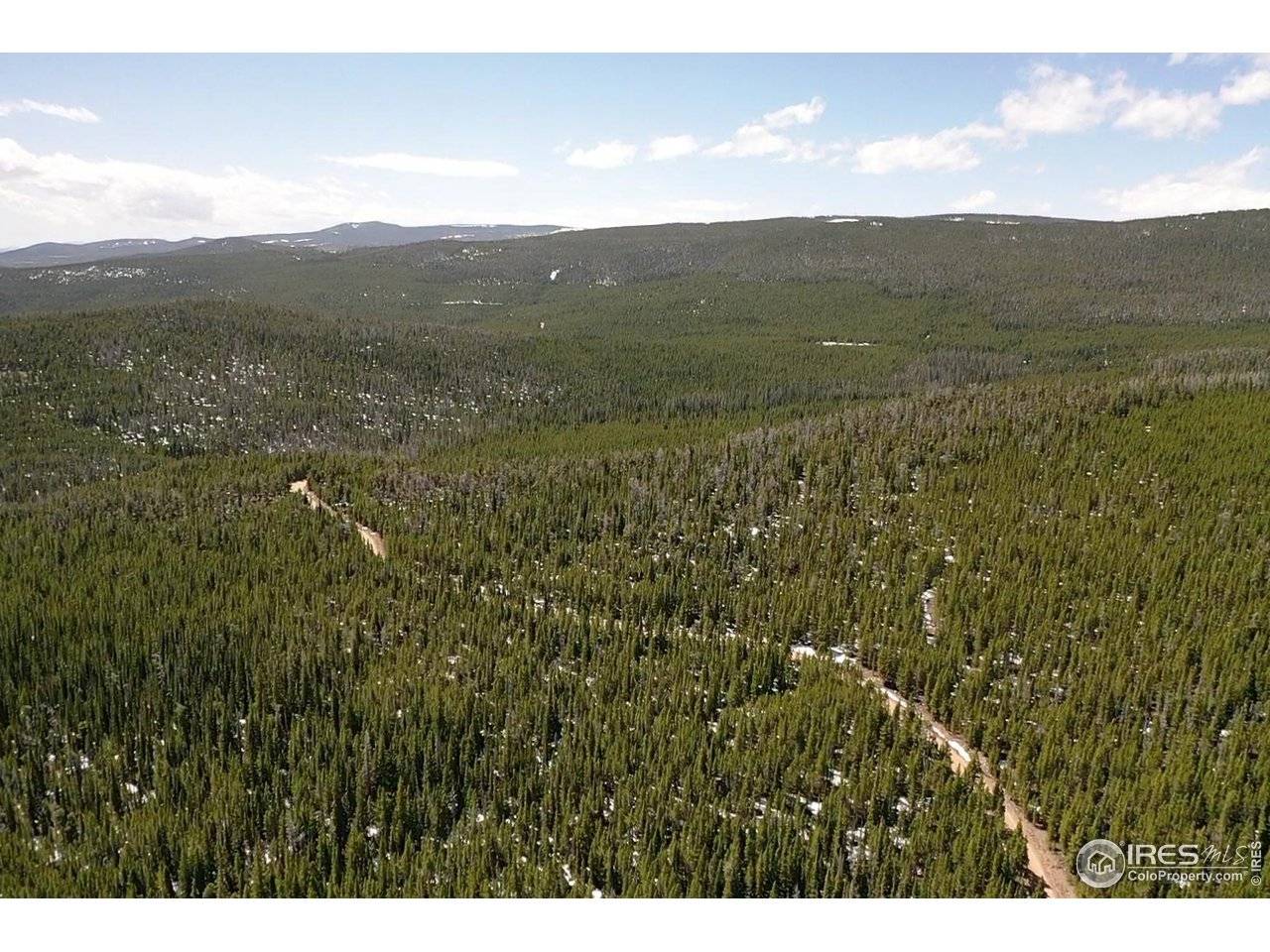 0 Forest Service 169 #Parcel #3, Red Feather Lakes, CO 80545