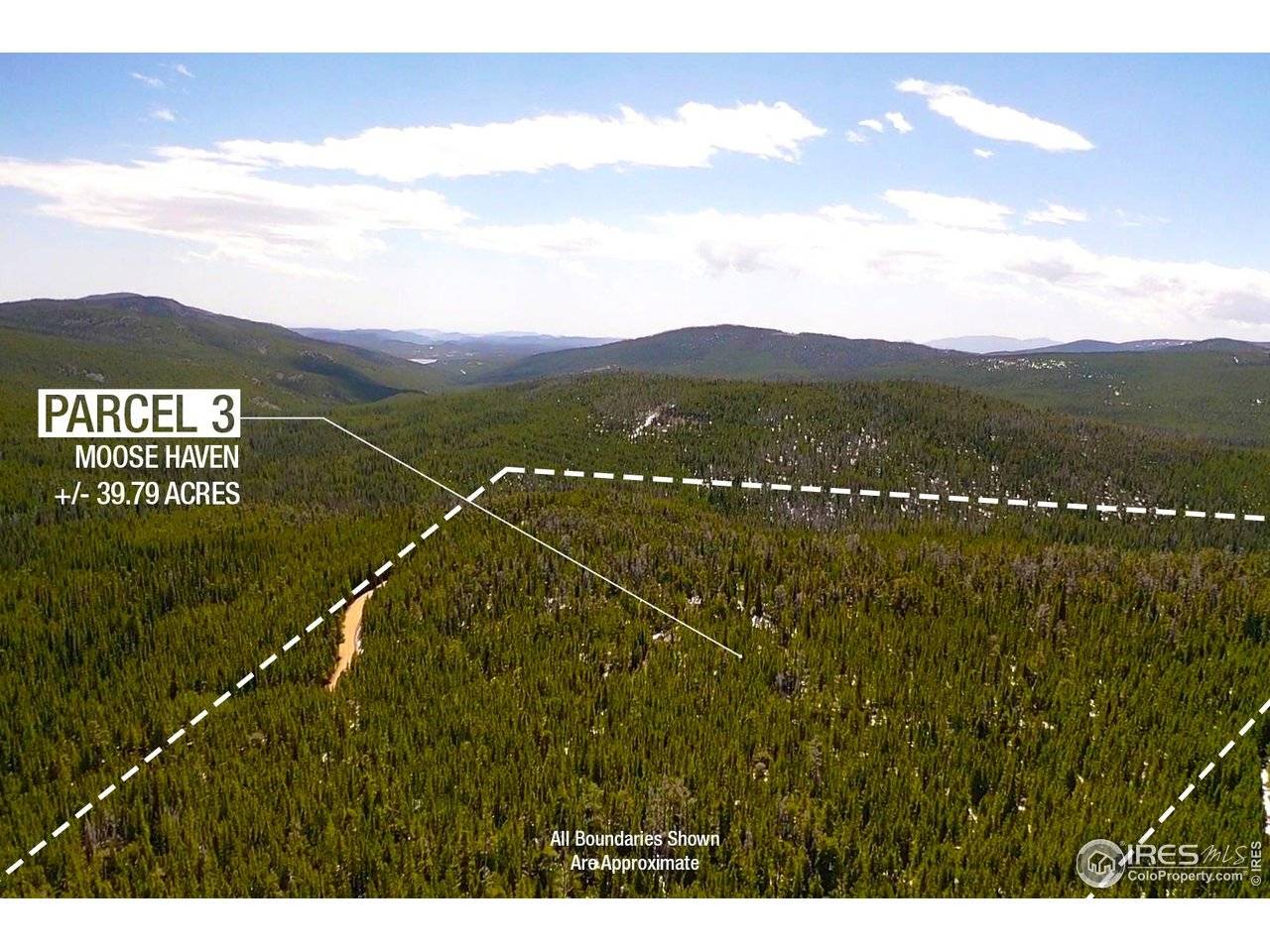 0 Forest Service 169 #Parcel #3, Red Feather Lakes, CO 80545