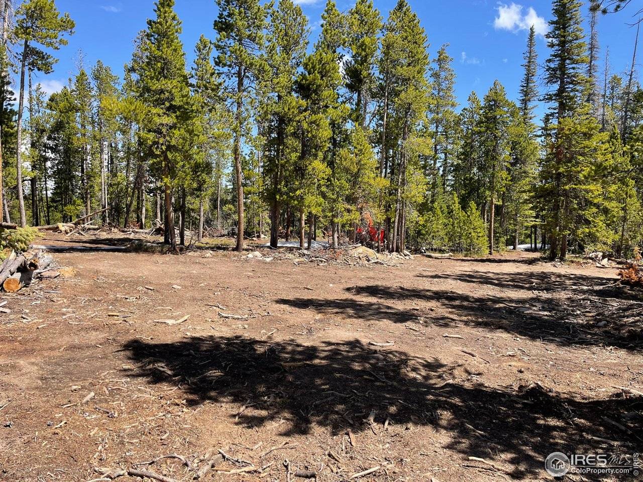 0 Forest Service 169 #Parcel #3, Red Feather Lakes, CO 80545