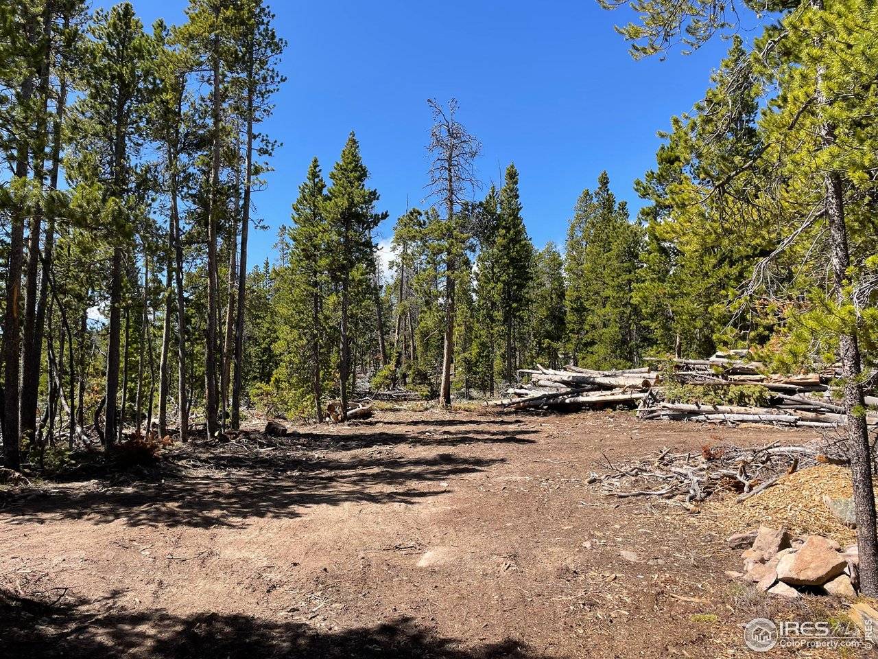 0 Forest Service 169 #Parcel #3, Red Feather Lakes, CO 80545