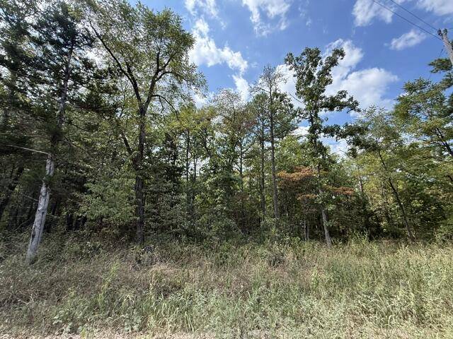 000 Texas Tower RD, Licking, MO 65542