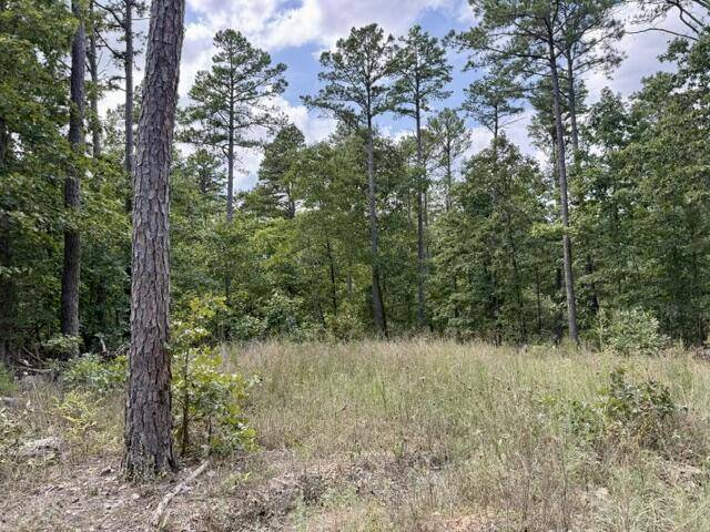 000 Texas Tower RD, Licking, MO 65542