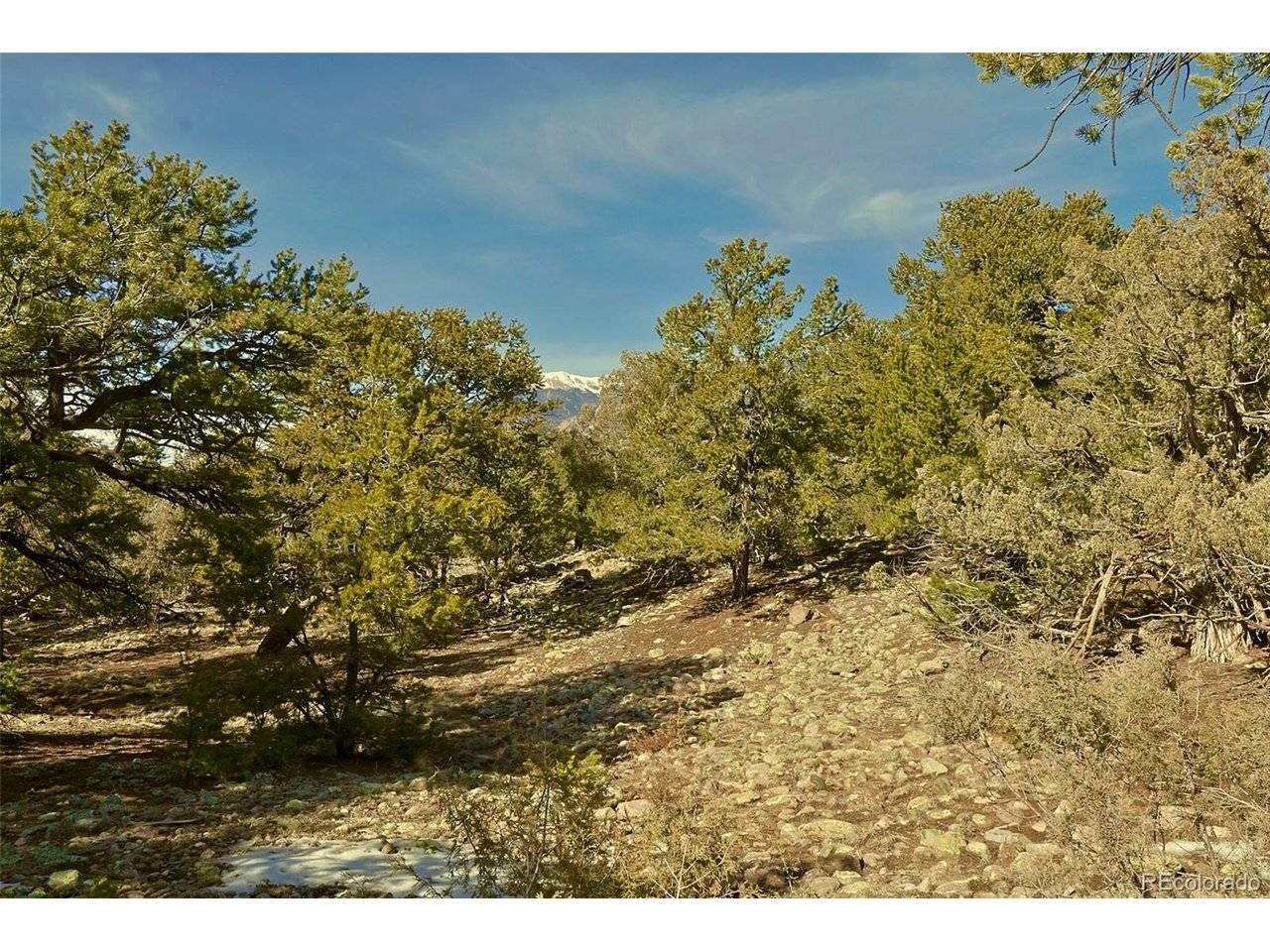 2130 Big Ranch, Crestone, CO 81131