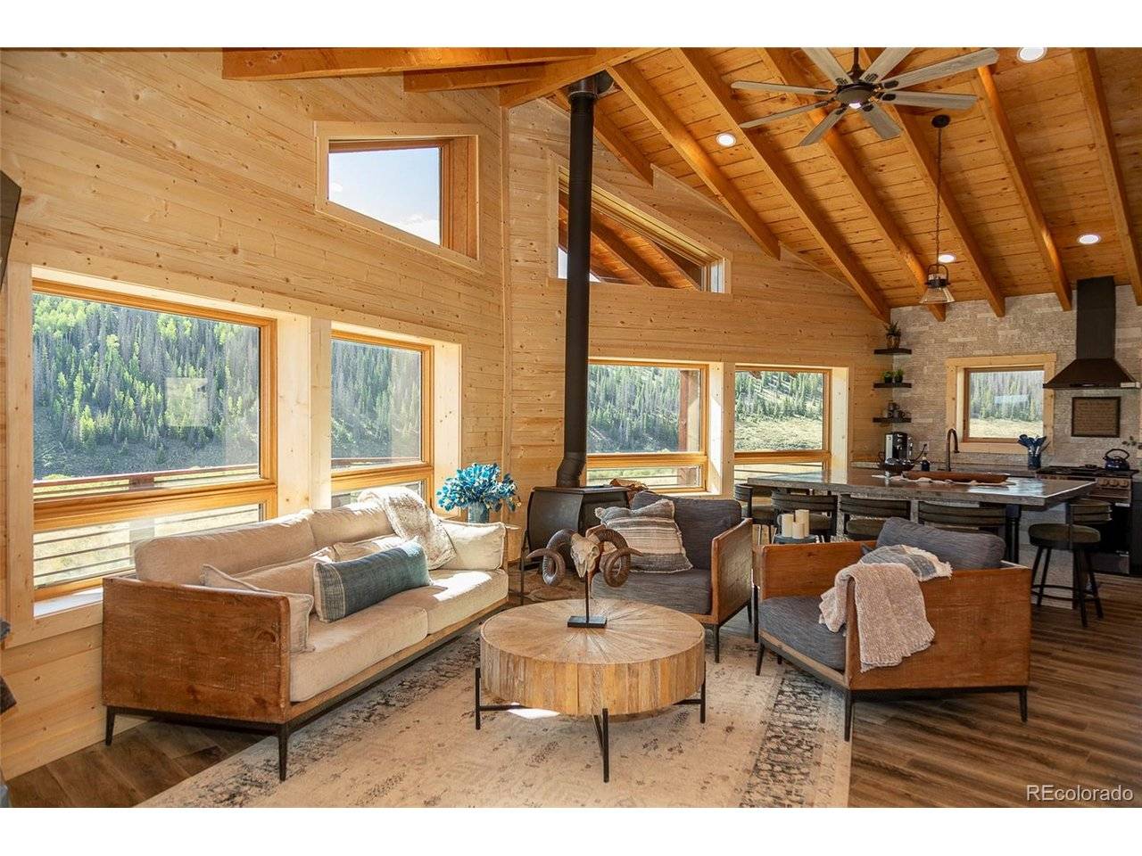 1001 County Rd 17, Lake City, CO 81235