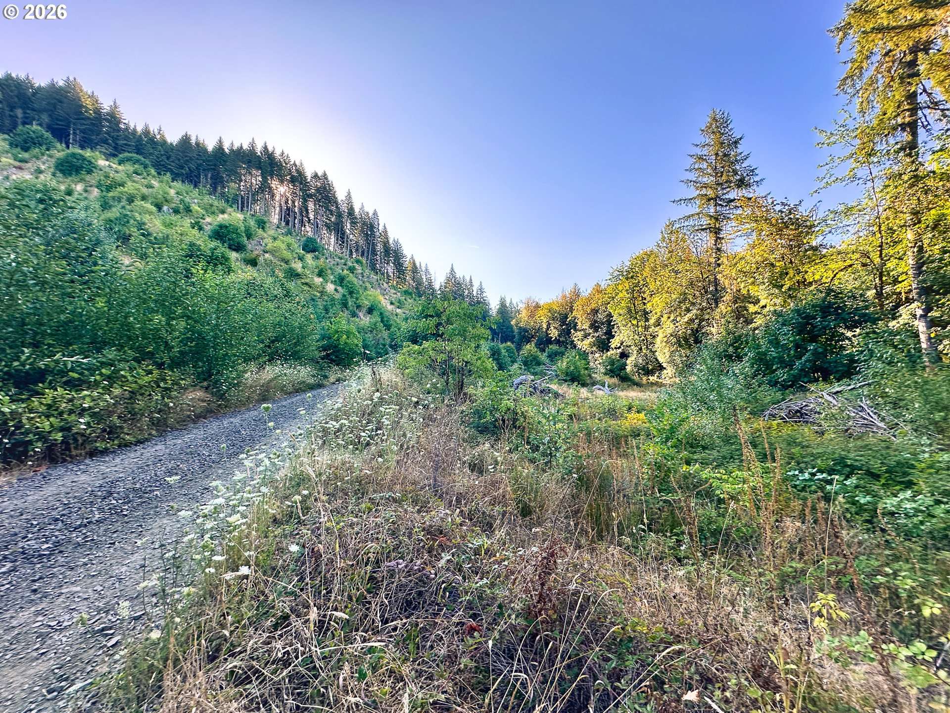 Honeygrove RD #TL200, Alsea, OR 97324