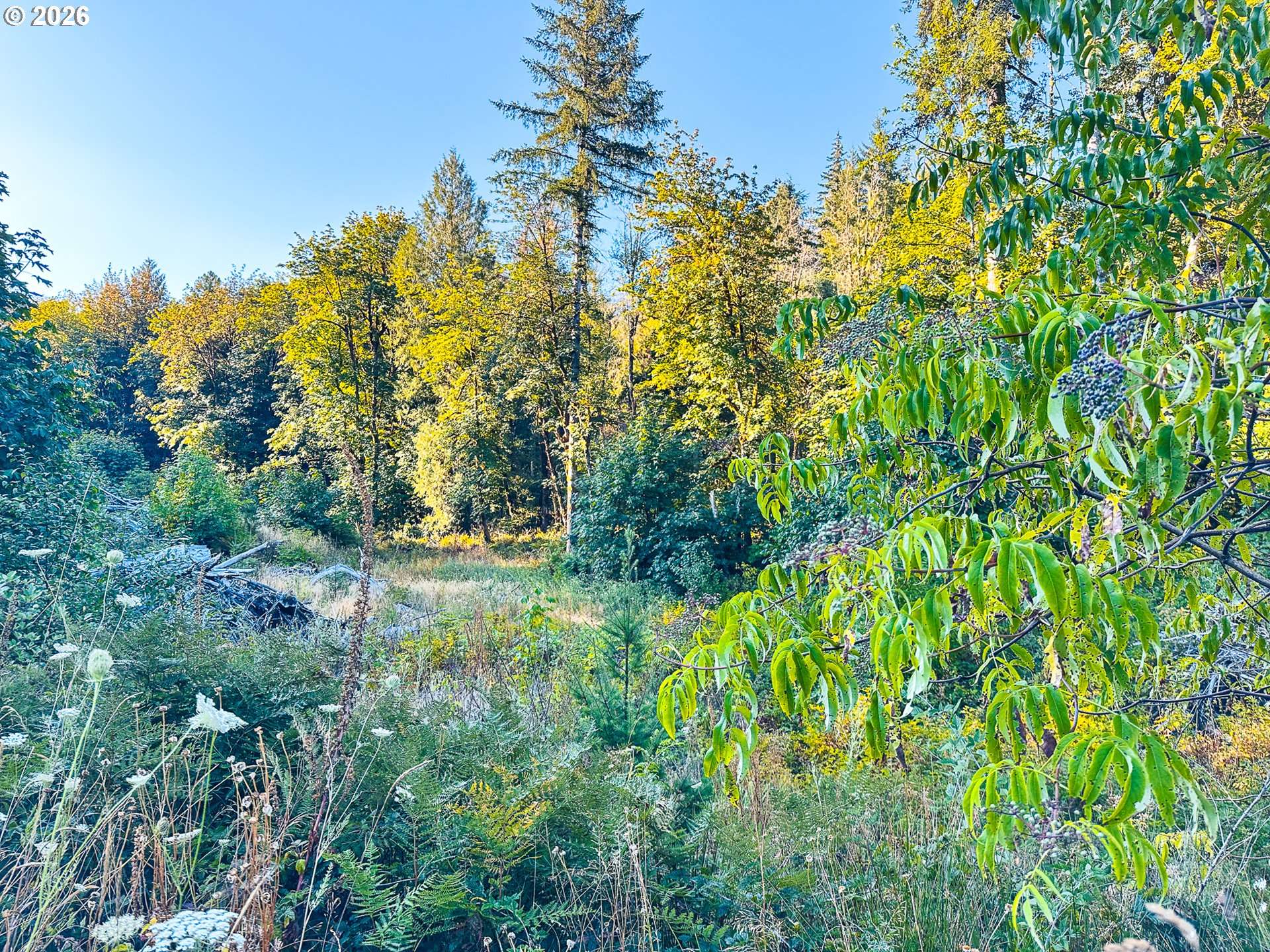 Honeygrove RD #TL200, Alsea, OR 97324
