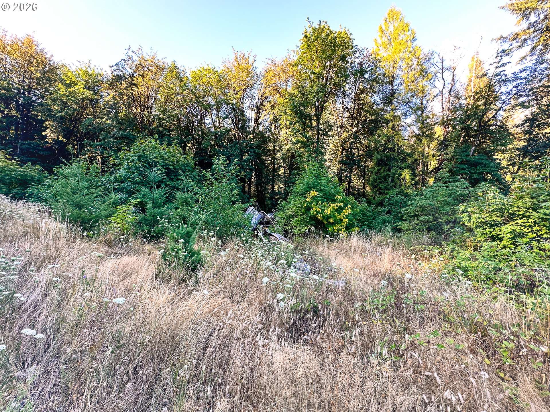 Honeygrove RD #TL200, Alsea, OR 97324