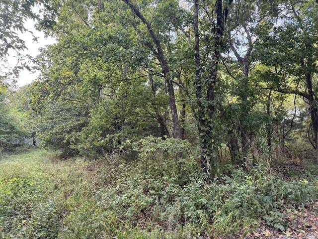 137 Tie RD, Marshfield, MO 65706