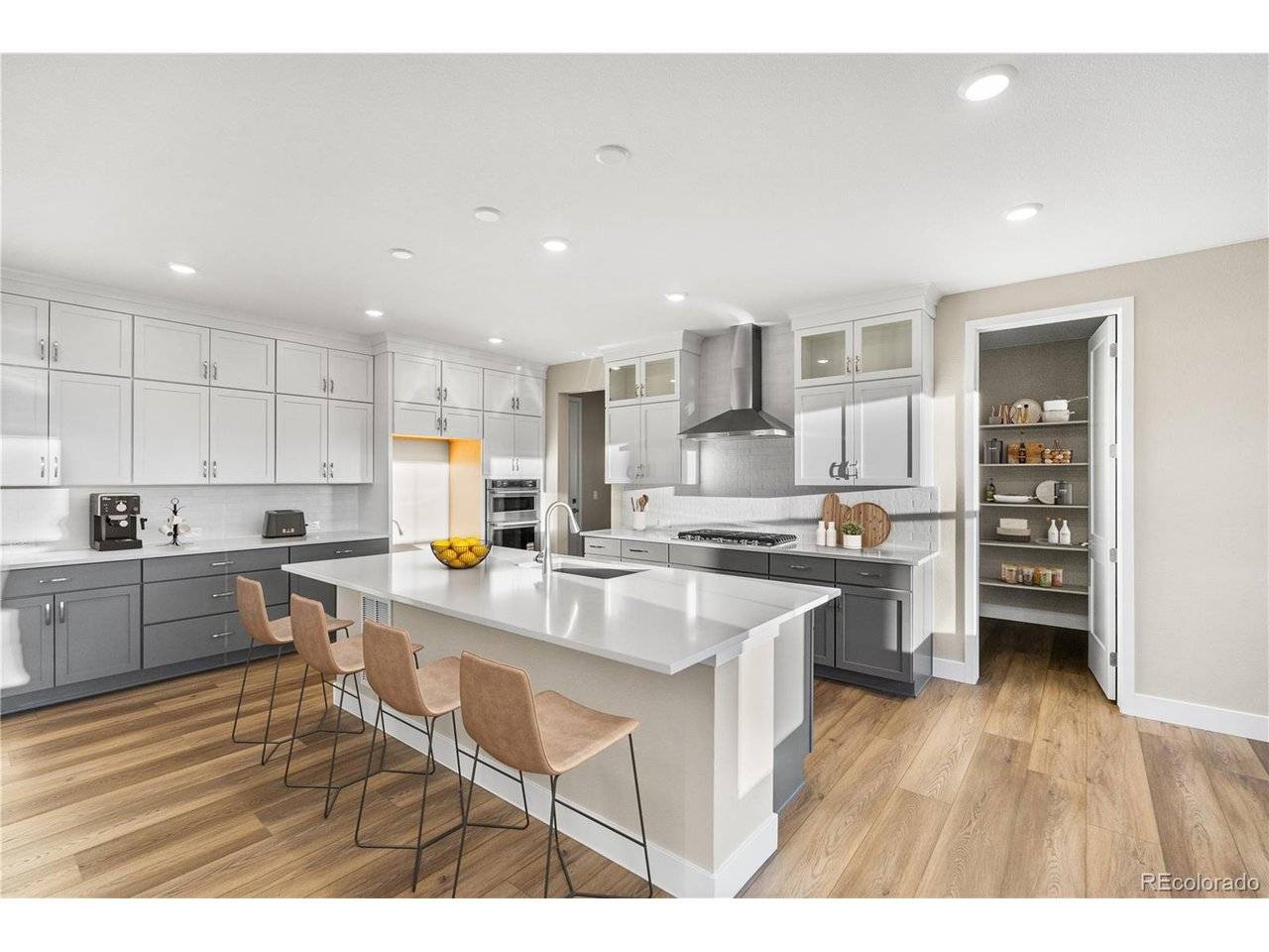 8778 Summerwalk, Littleton, CO 80125