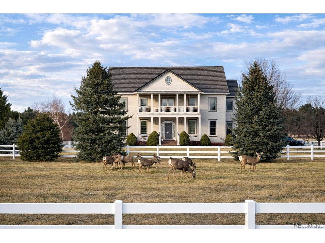 458 Grey Squirrel, Franktown, CO 80116