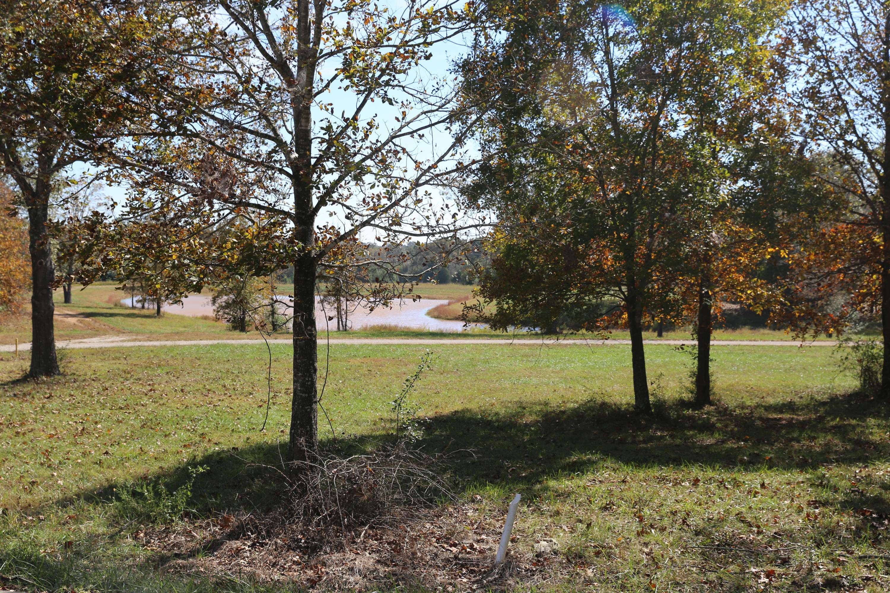 000 Wild Turkey #Block 1 Lot 3, West Plains, MO 65775