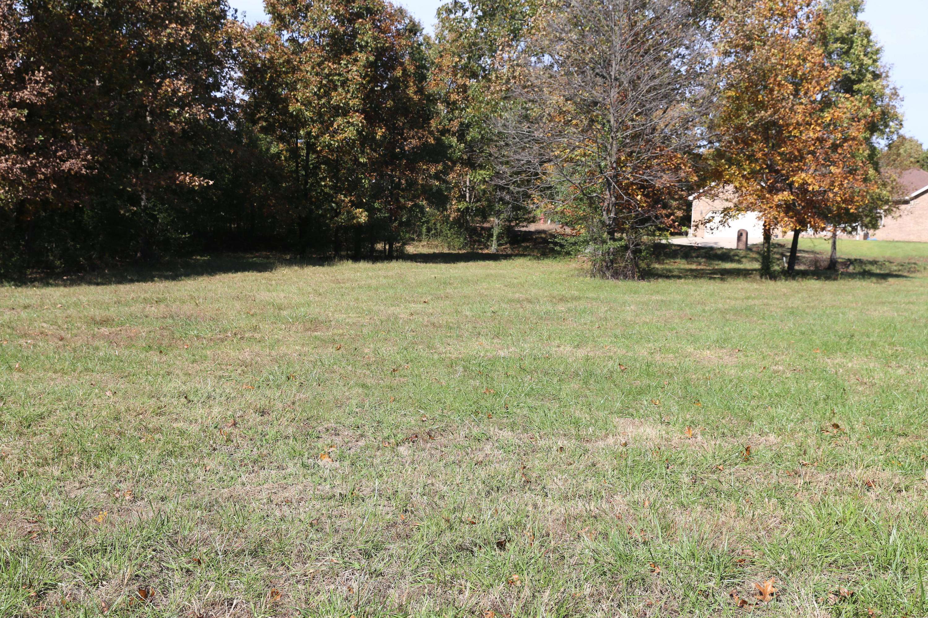 000 Wild Turkey #Block 1 Lot 3, West Plains, MO 65775