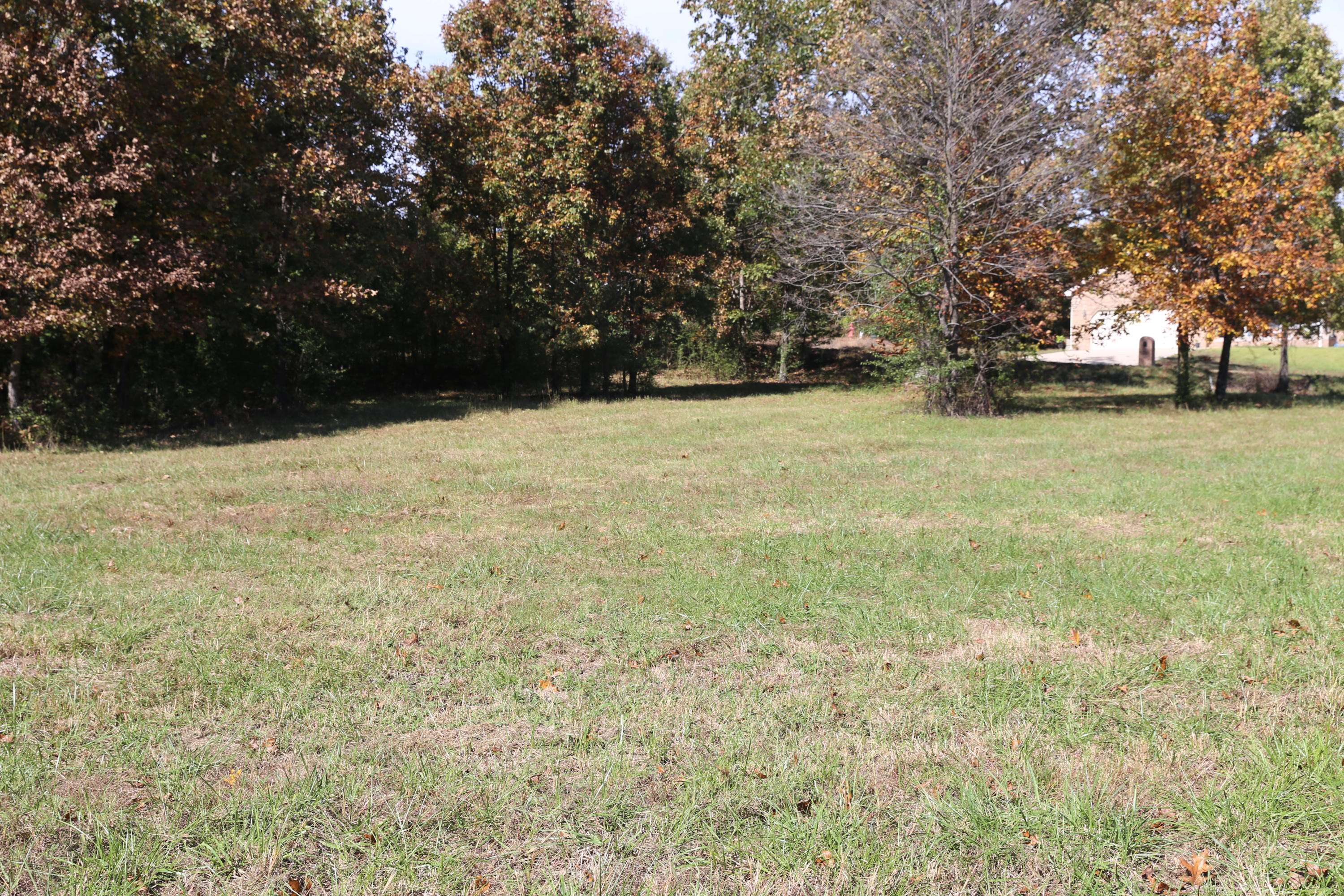 000 Wild Turkey RD #Block 1 Lot 9, West Plains, MO 65775