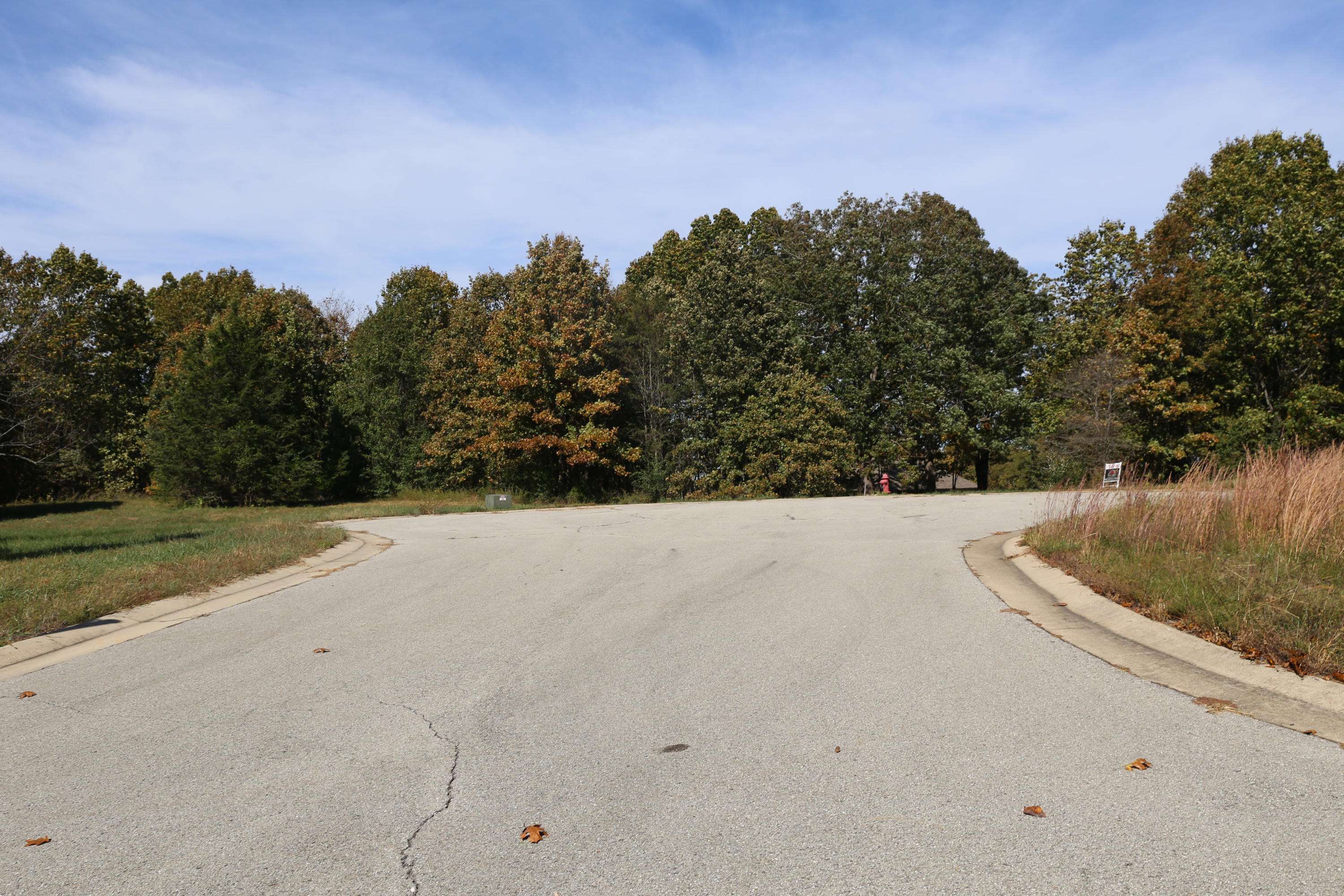 000 Wild Turkey RD #Block 1 Lot 17, West Plains, MO 65775
