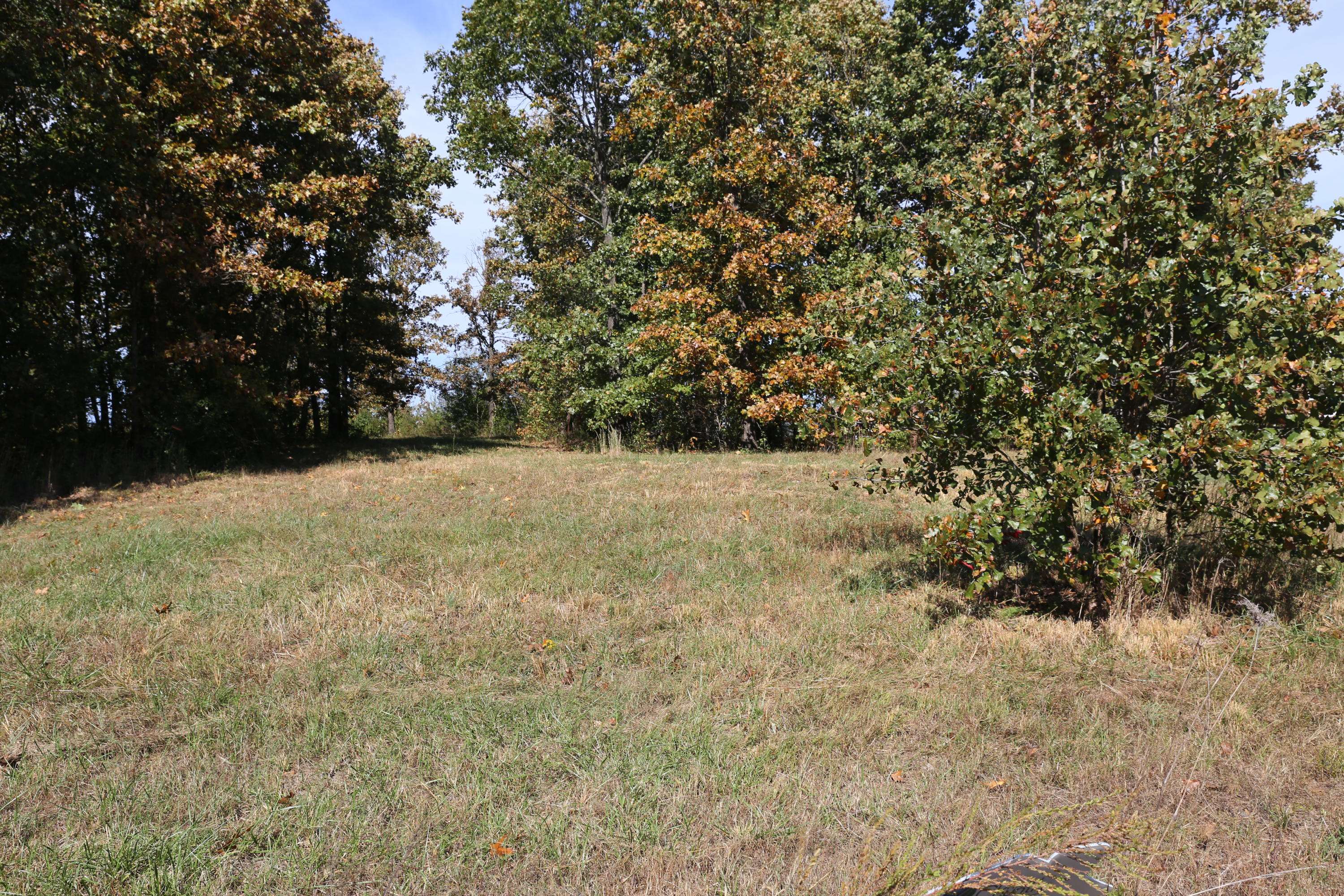 000 Wild Turkey RD #Block 1 Lot 17, West Plains, MO 65775