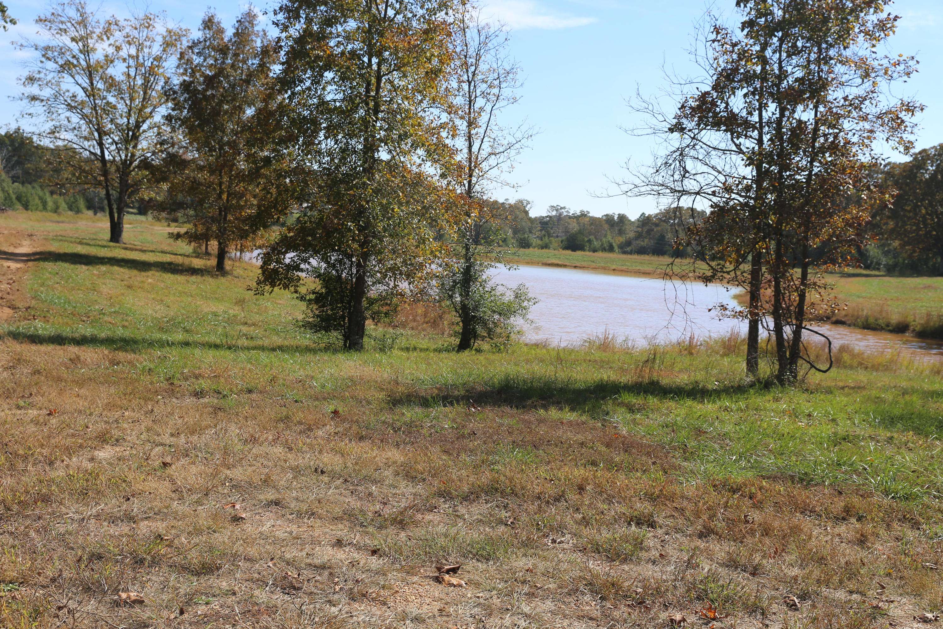 000 Wild Turkey DR #Block 1 Lot 18, West Plains, MO 65775