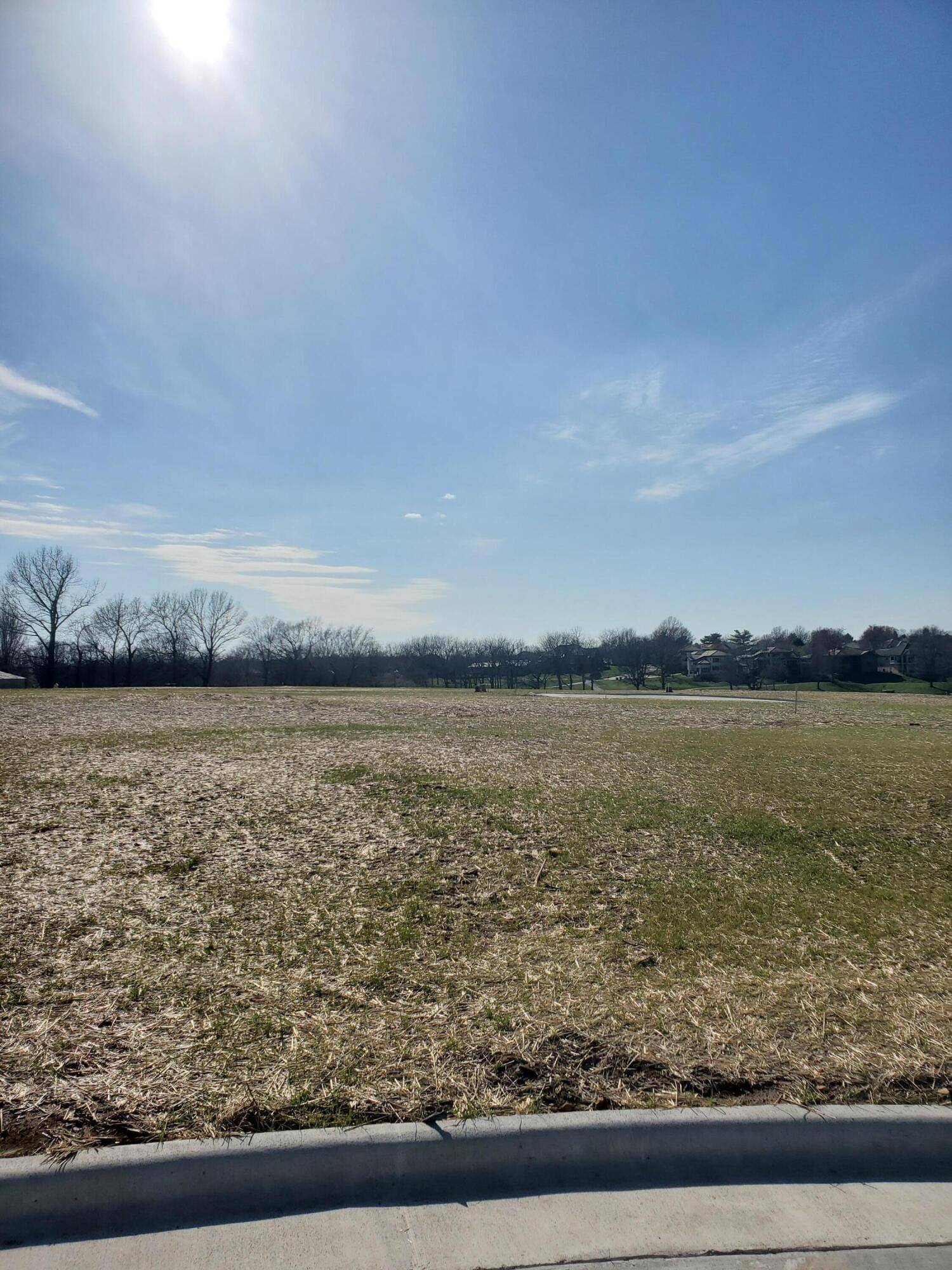 Lot 36 Vintage Pointe, Springfield, MO 65809