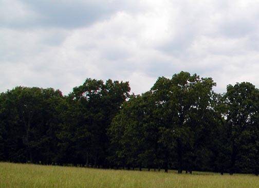 000 U.S. Highway 160, West Plains, MO 65775