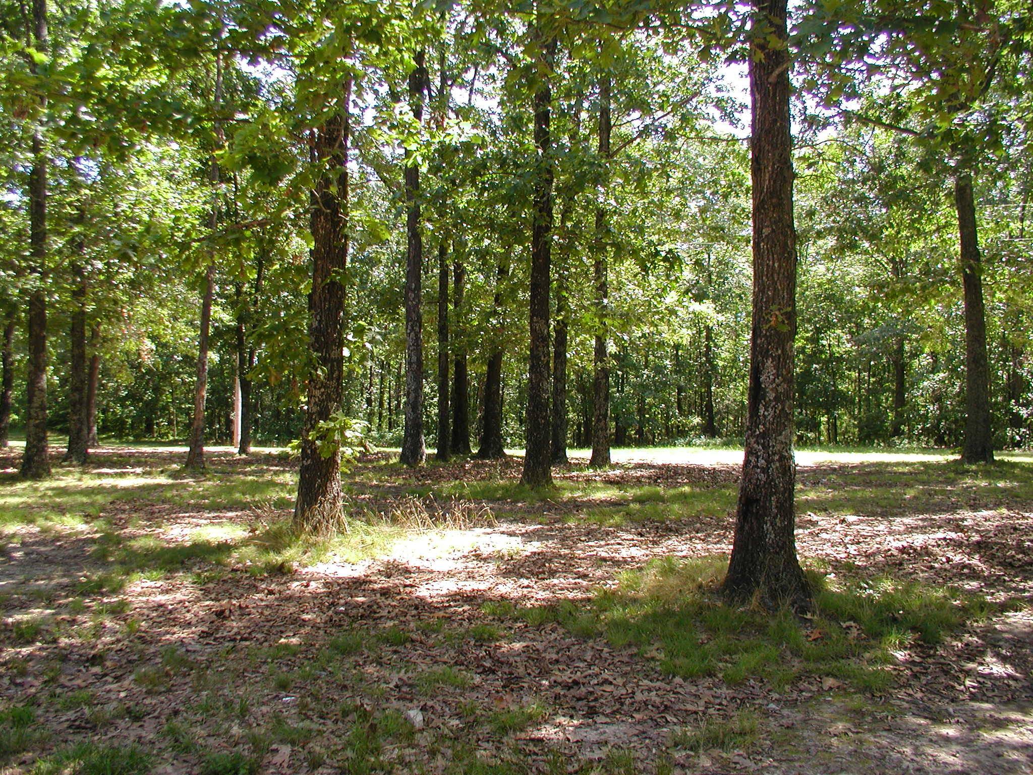 000 U.S. Highway 160, West Plains, MO 65775