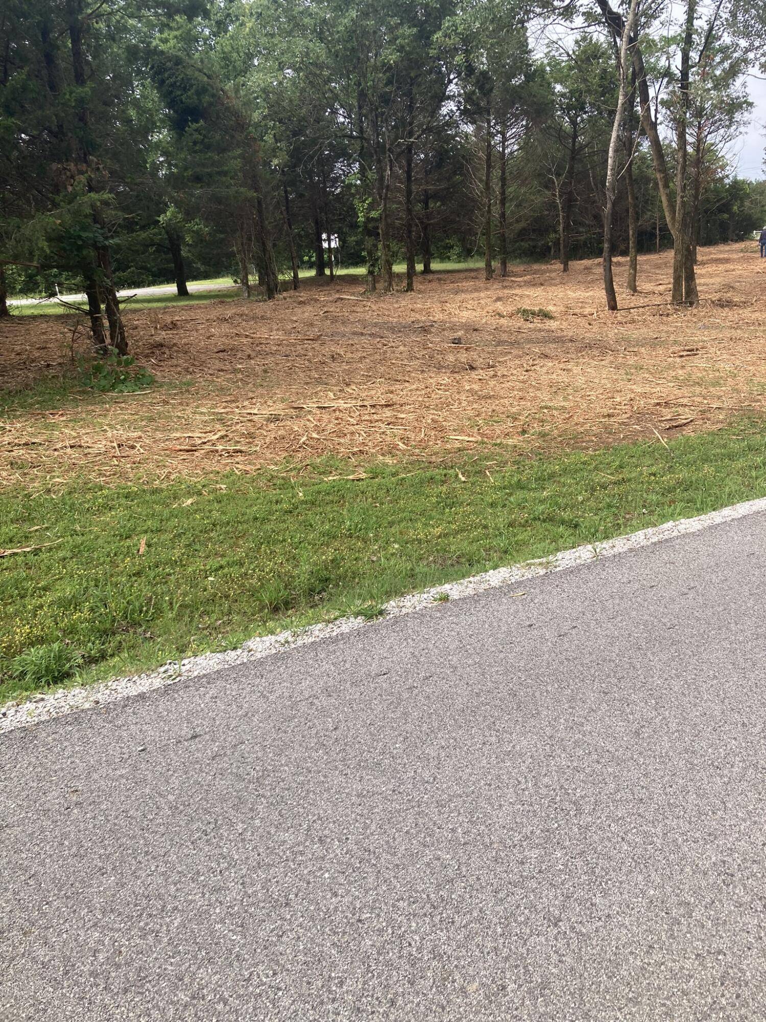Lots 76-78 Gateway ST, Diamond City, AR 72630