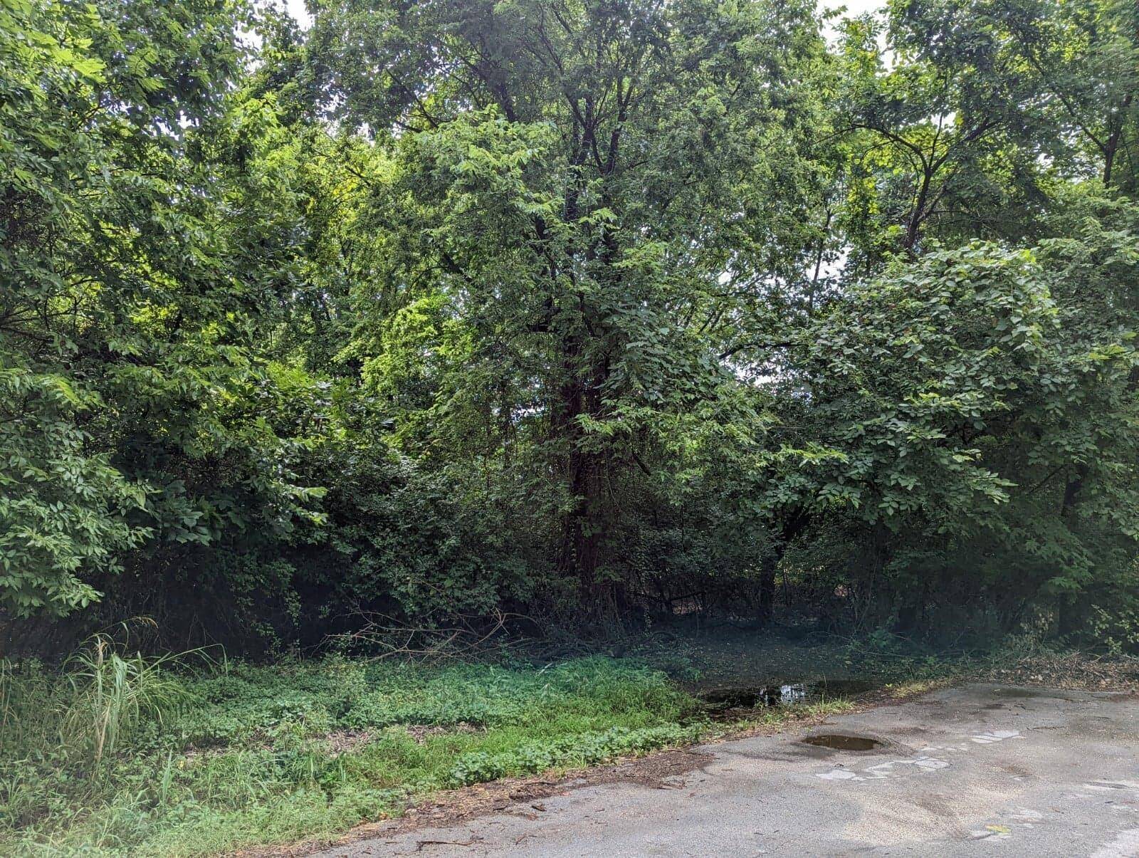 Lot 6 N Farm Road 139, Springfield, MO 65803