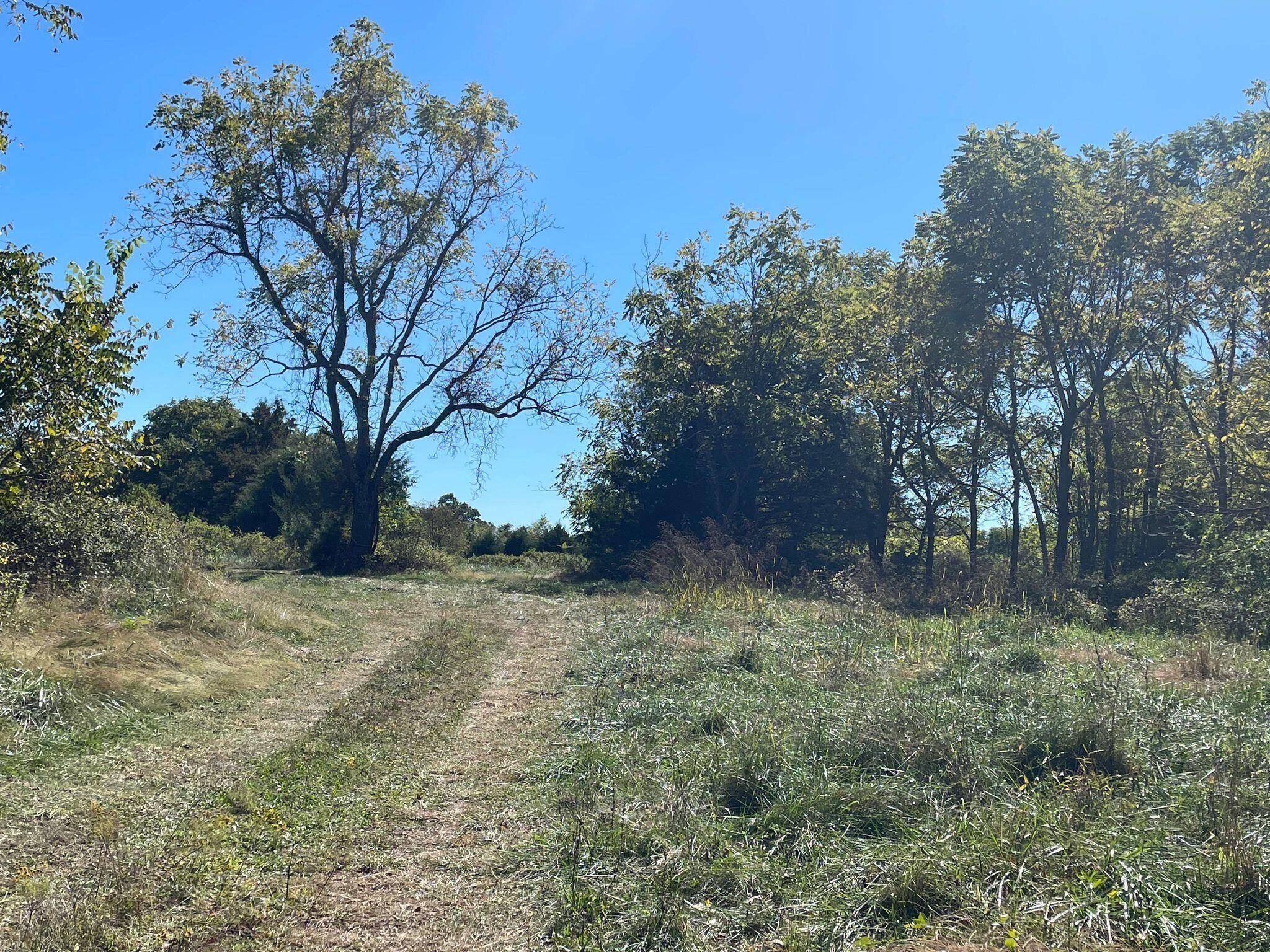6312 County Road W76-436, Ava, MO 65608
