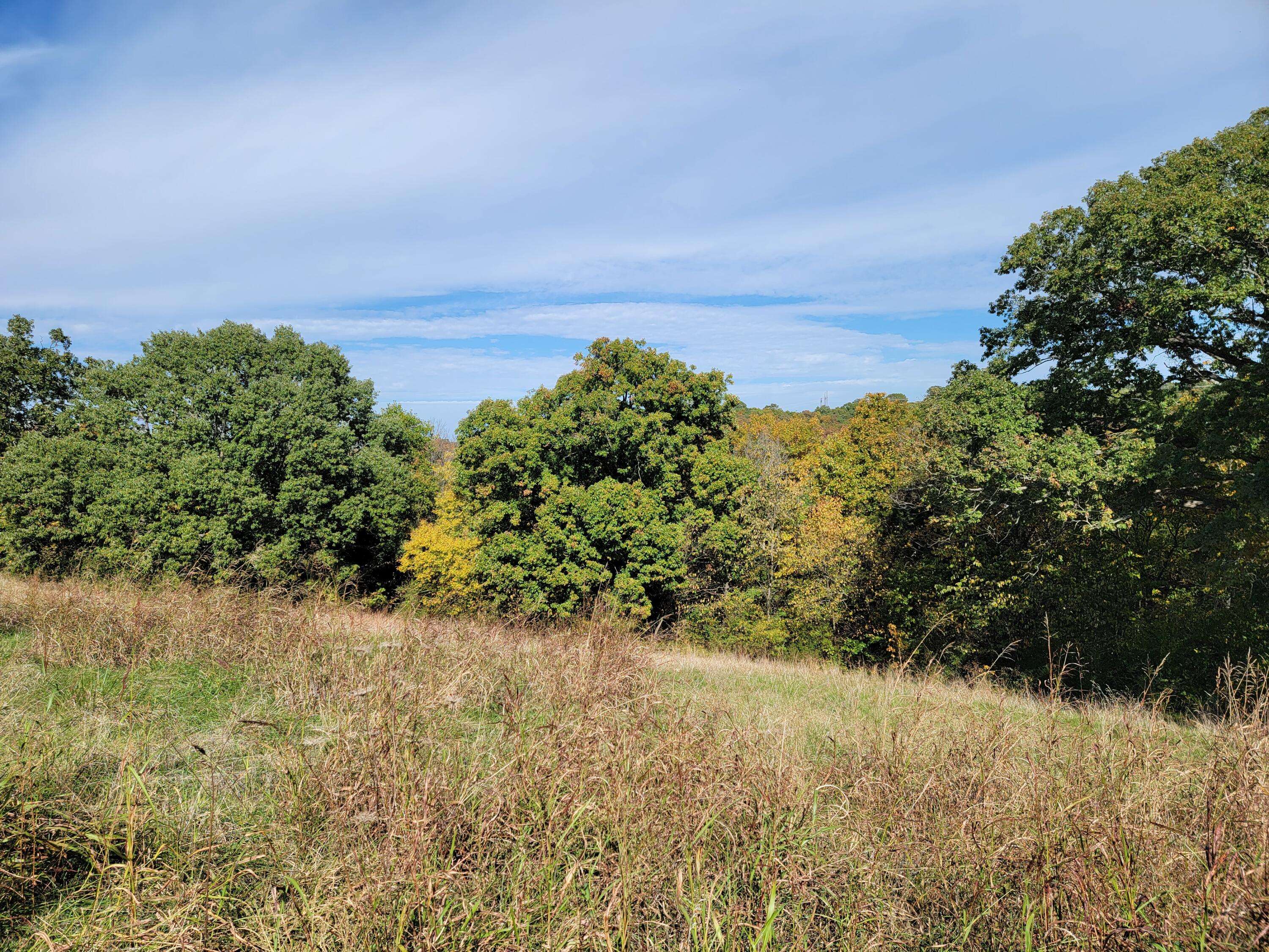 000 Eagle Crest DR, Hollister, MO 65672
