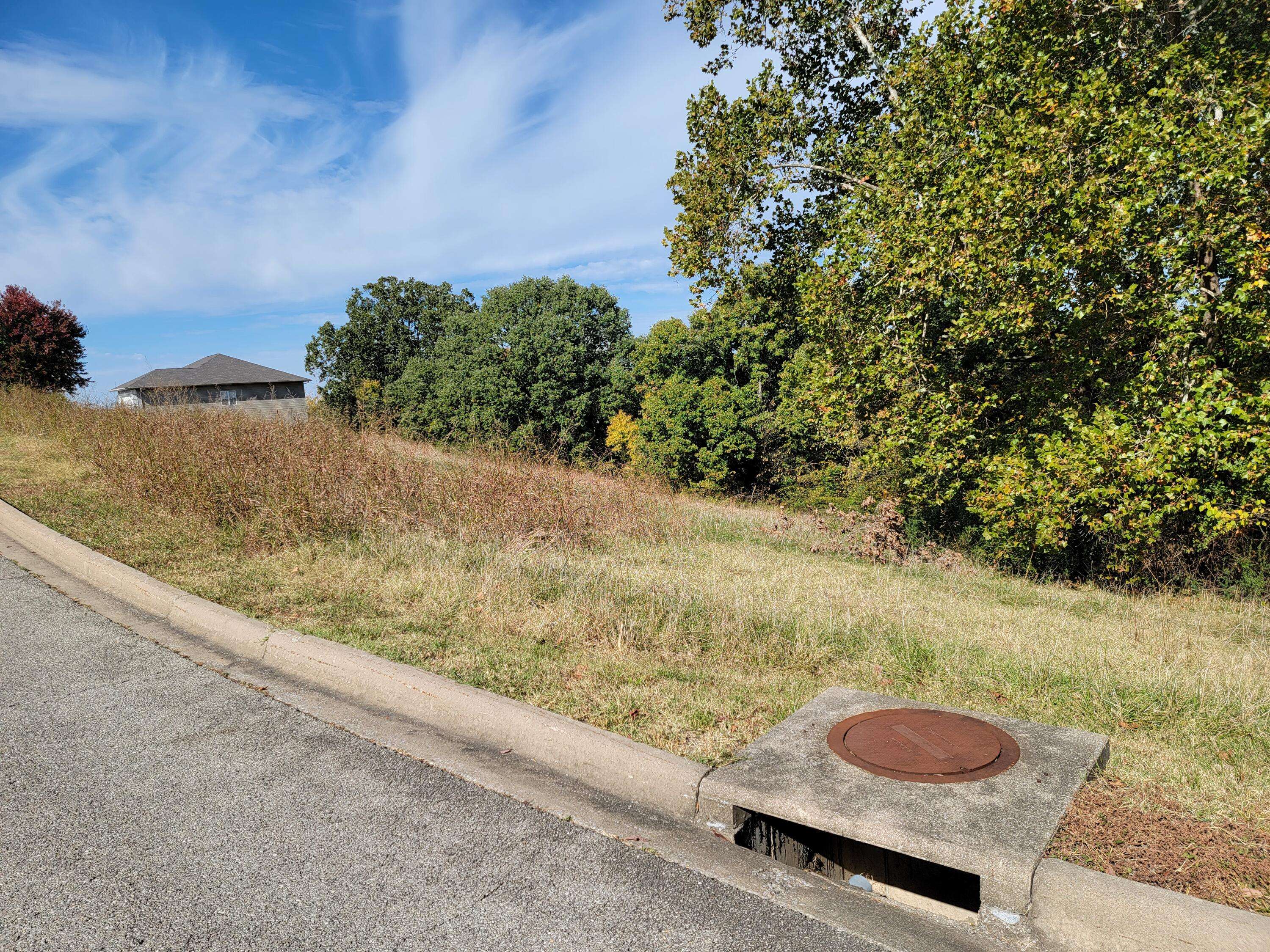 000 Eagle Crest DR, Hollister, MO 65672