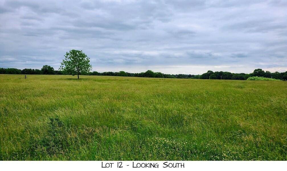 Lot 12 Prairie View Rd, Brighton, MO 65617