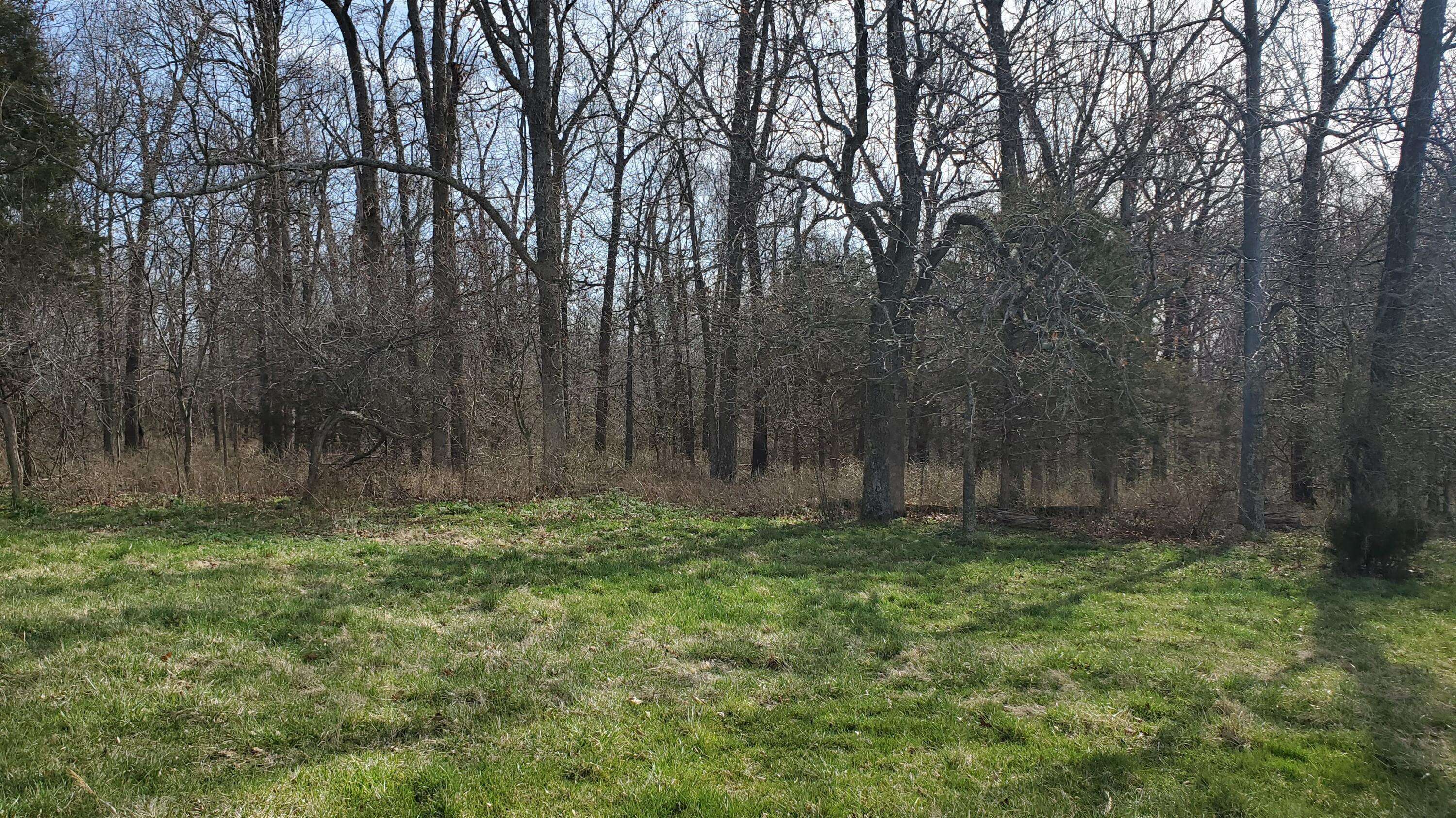 Lot 6 N Farm Road 61, Walnut Grove, MO 65770