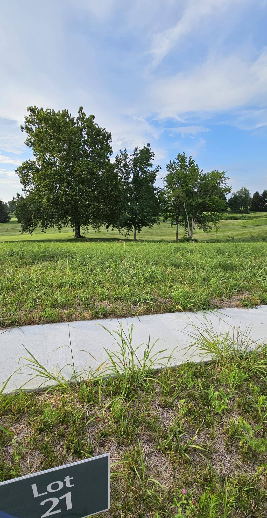 Lot 21 Highland Spring/Vintage Pointe, Springfield, MO 65809