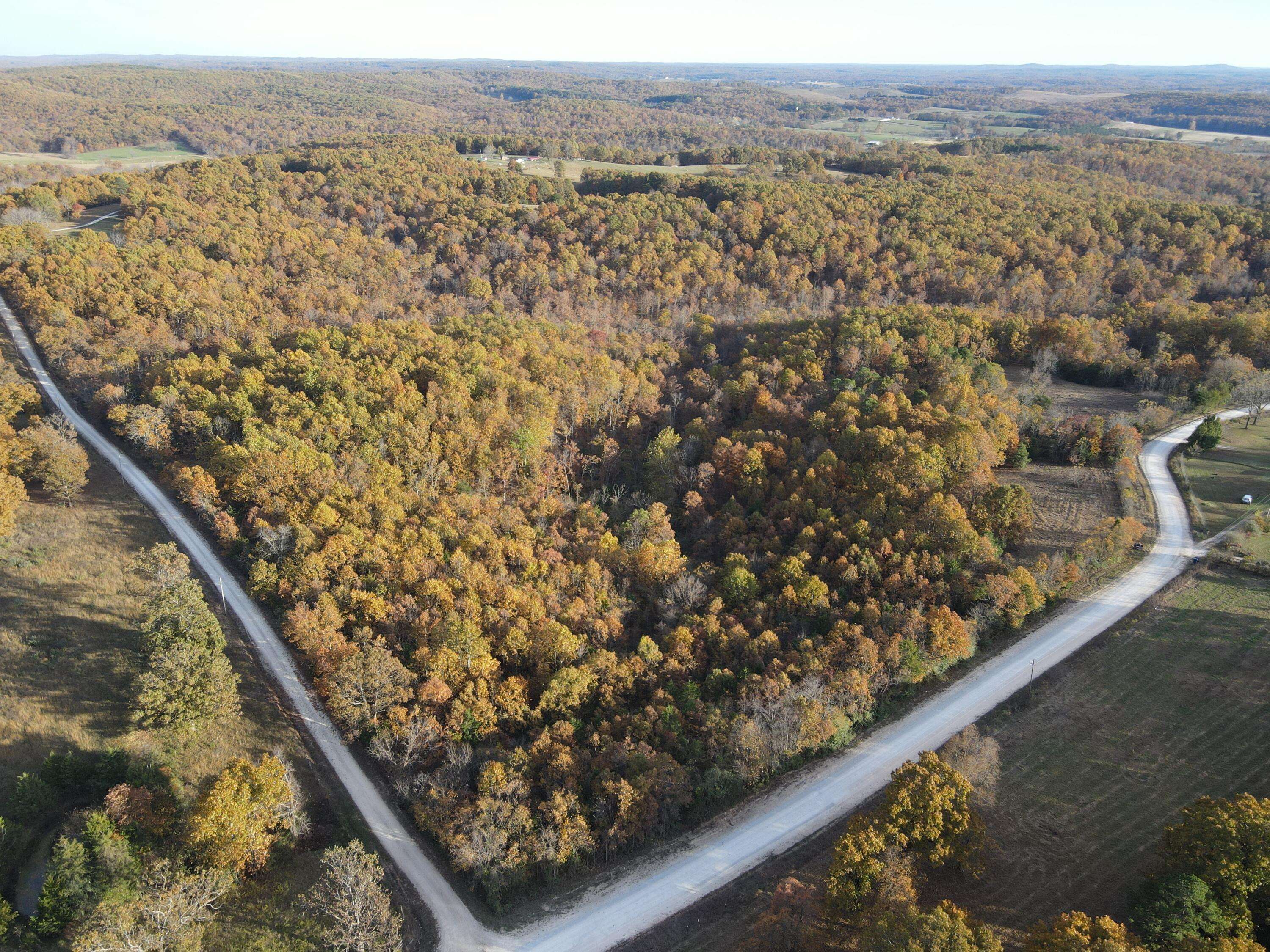 000 King RD, Mountain Grove, MO 65711