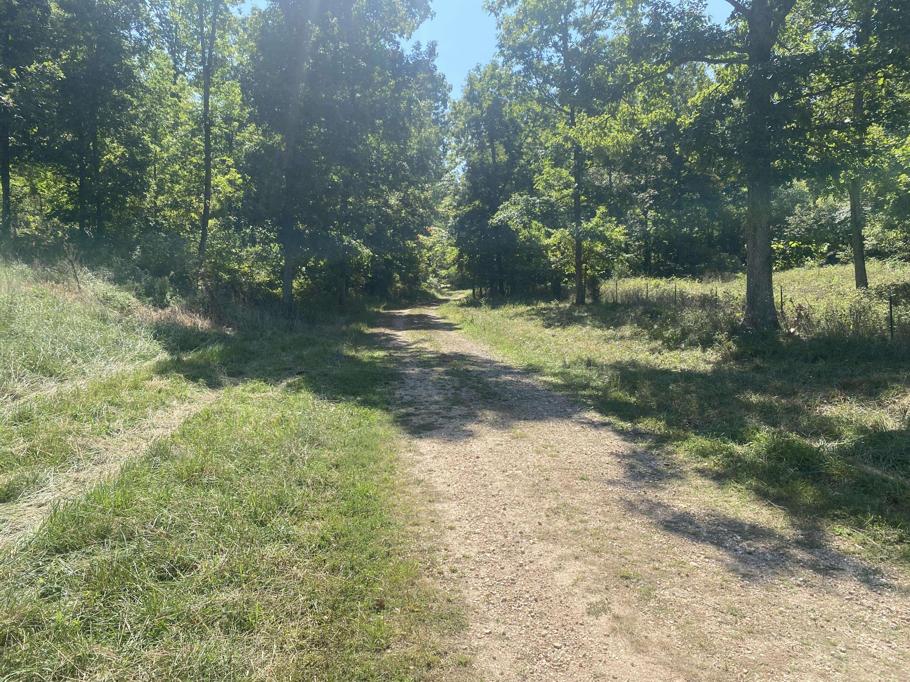 000 County Road 550, Ellington, MO 63638