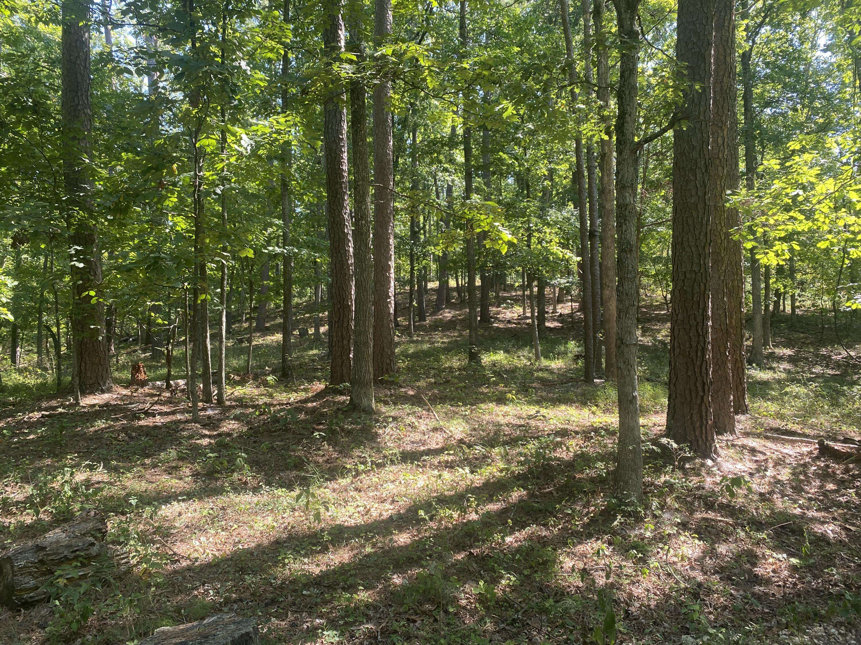 000 County Road 550, Ellington, MO 63638