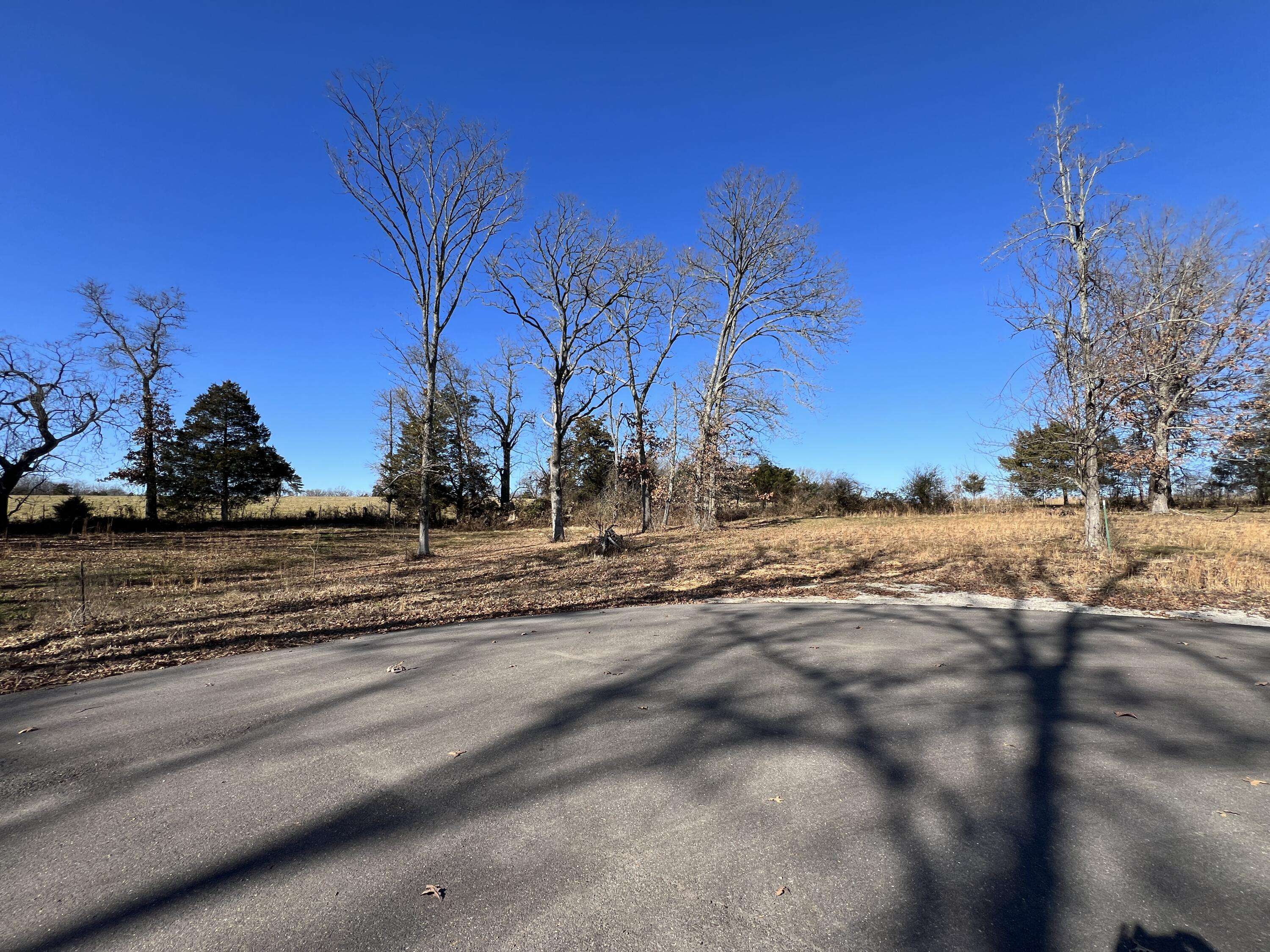 21 Cedar LN, Willow Springs, MO 65793