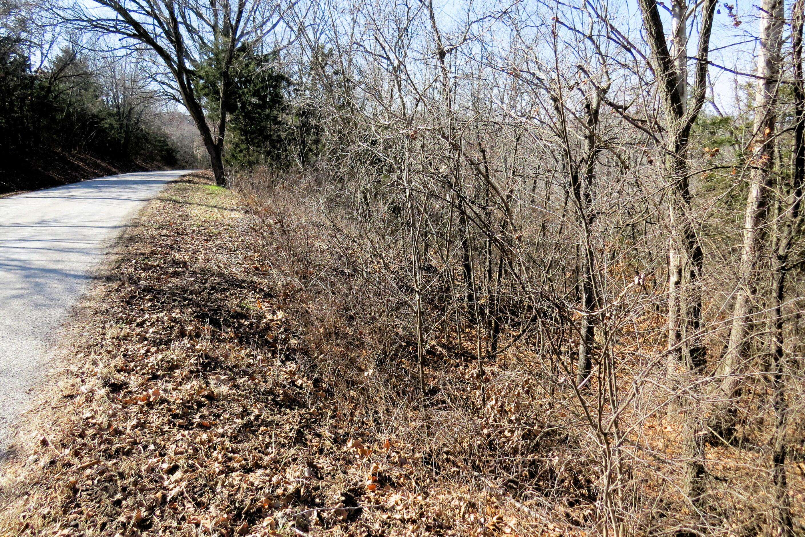 Lot 273a Hill Haven RD, Hollister, MO 65672