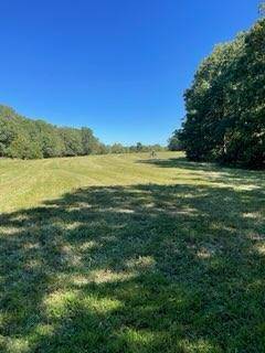 000 E State Hwy Yy, Strafford, MO 65757
