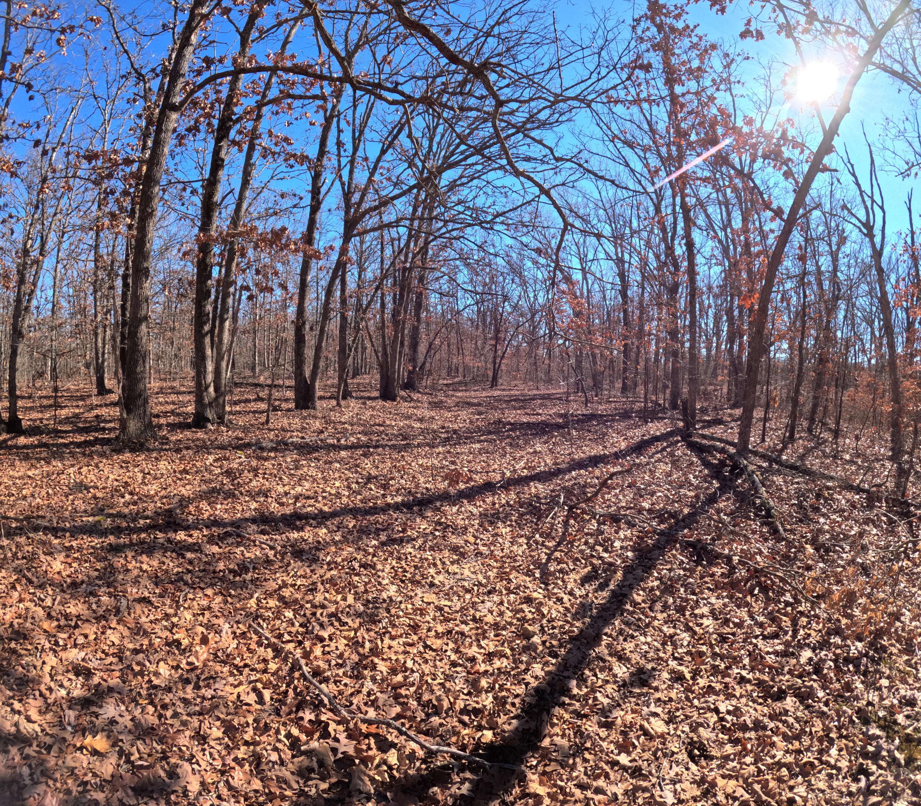 Tract K Greatview LN, Lebanon, MO 65536