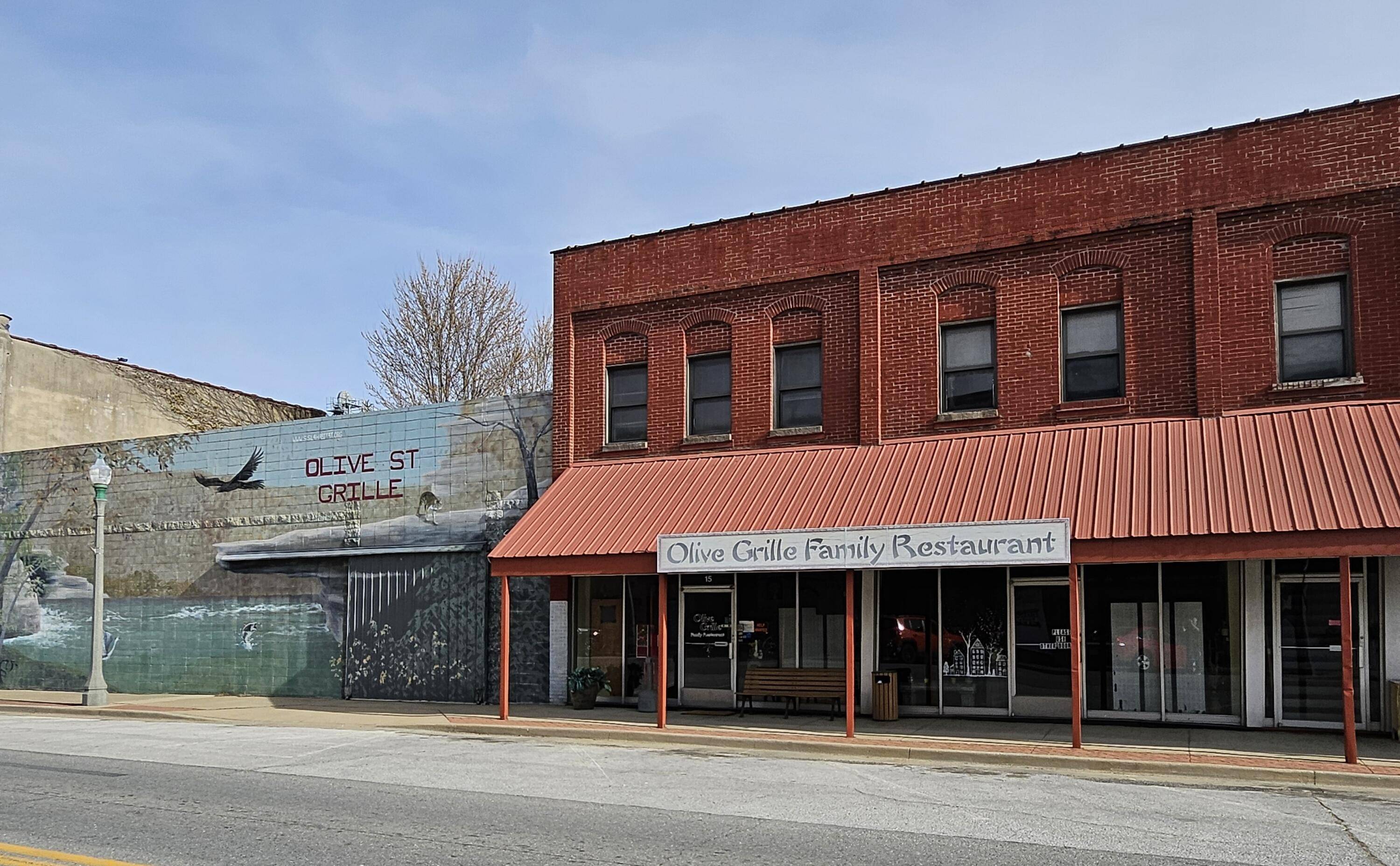 15 E Olive ST, Aurora, MO 65605