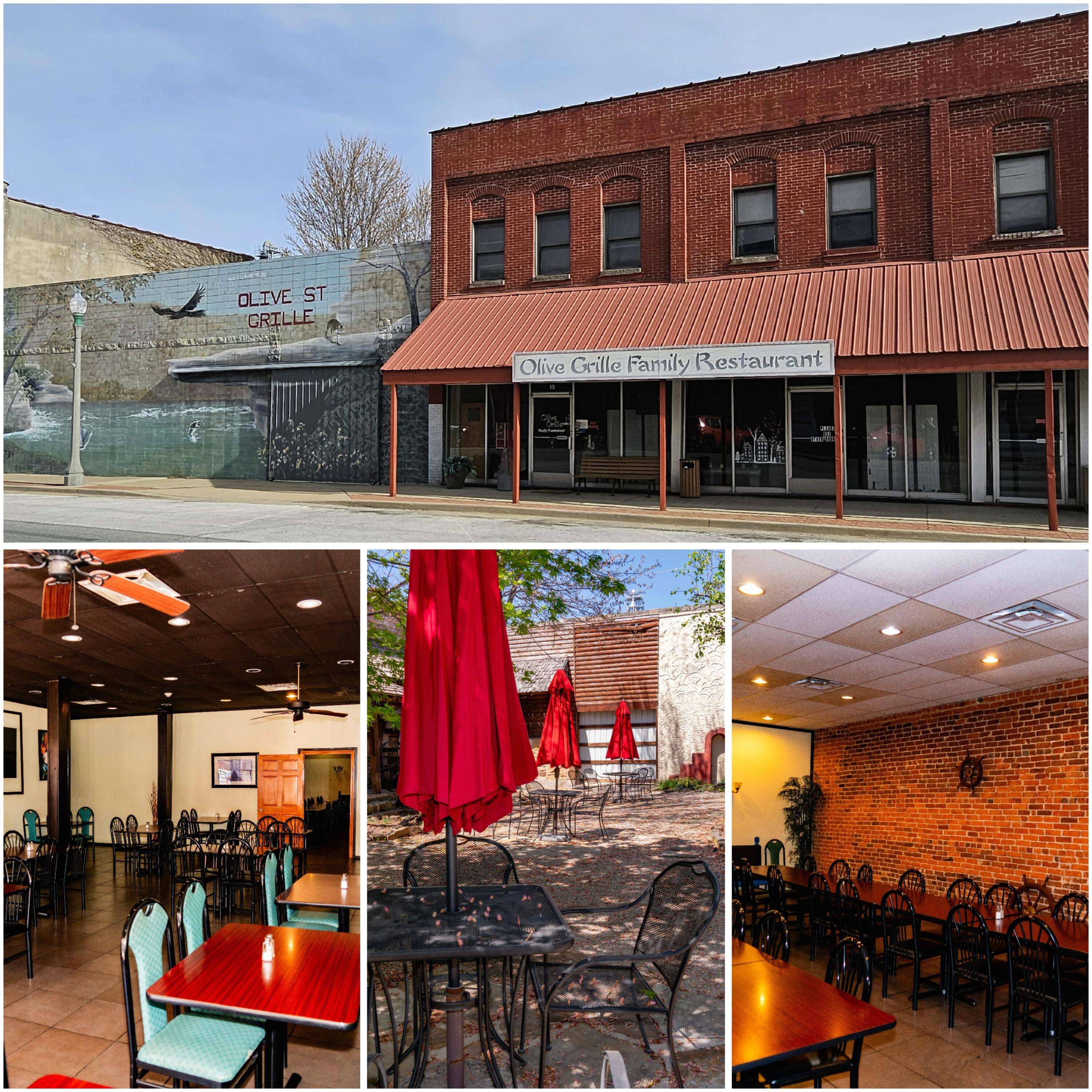 15 E Olive ST, Aurora, MO 65605