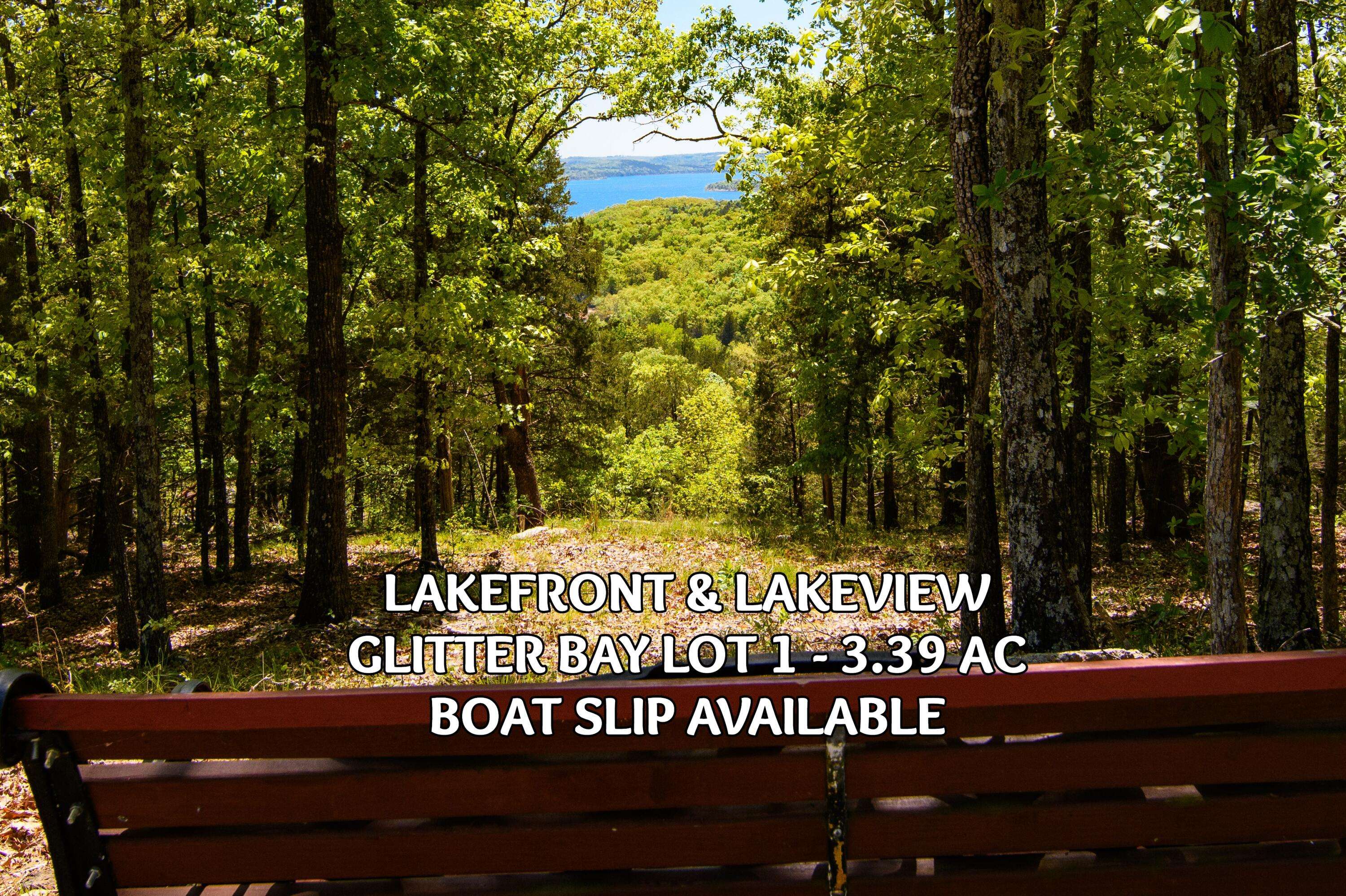 Lot 1 Waterfield DR, Branson West, MO 65737