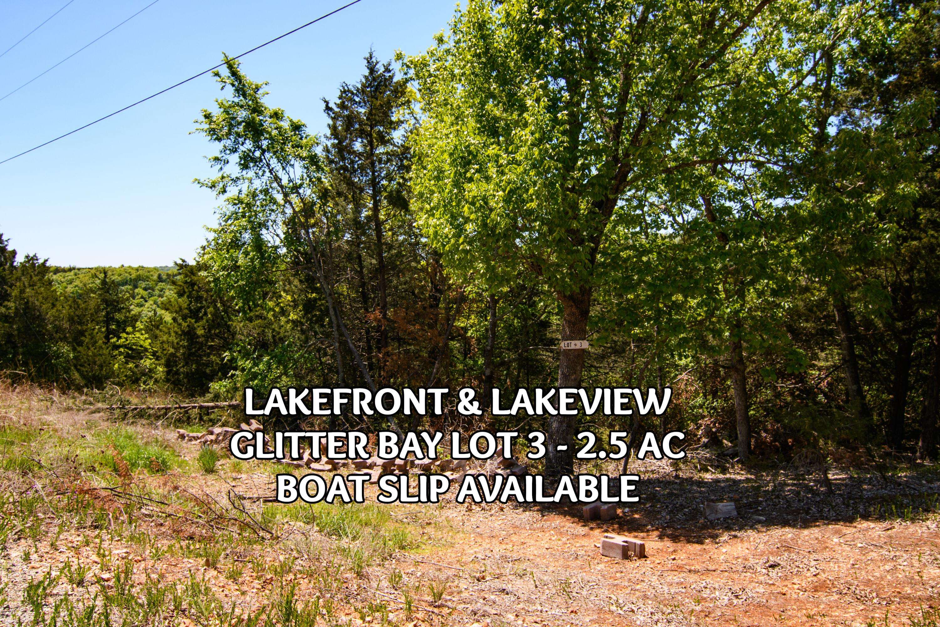 Lot 3 Waterfield DR, Branson West, MO 65737