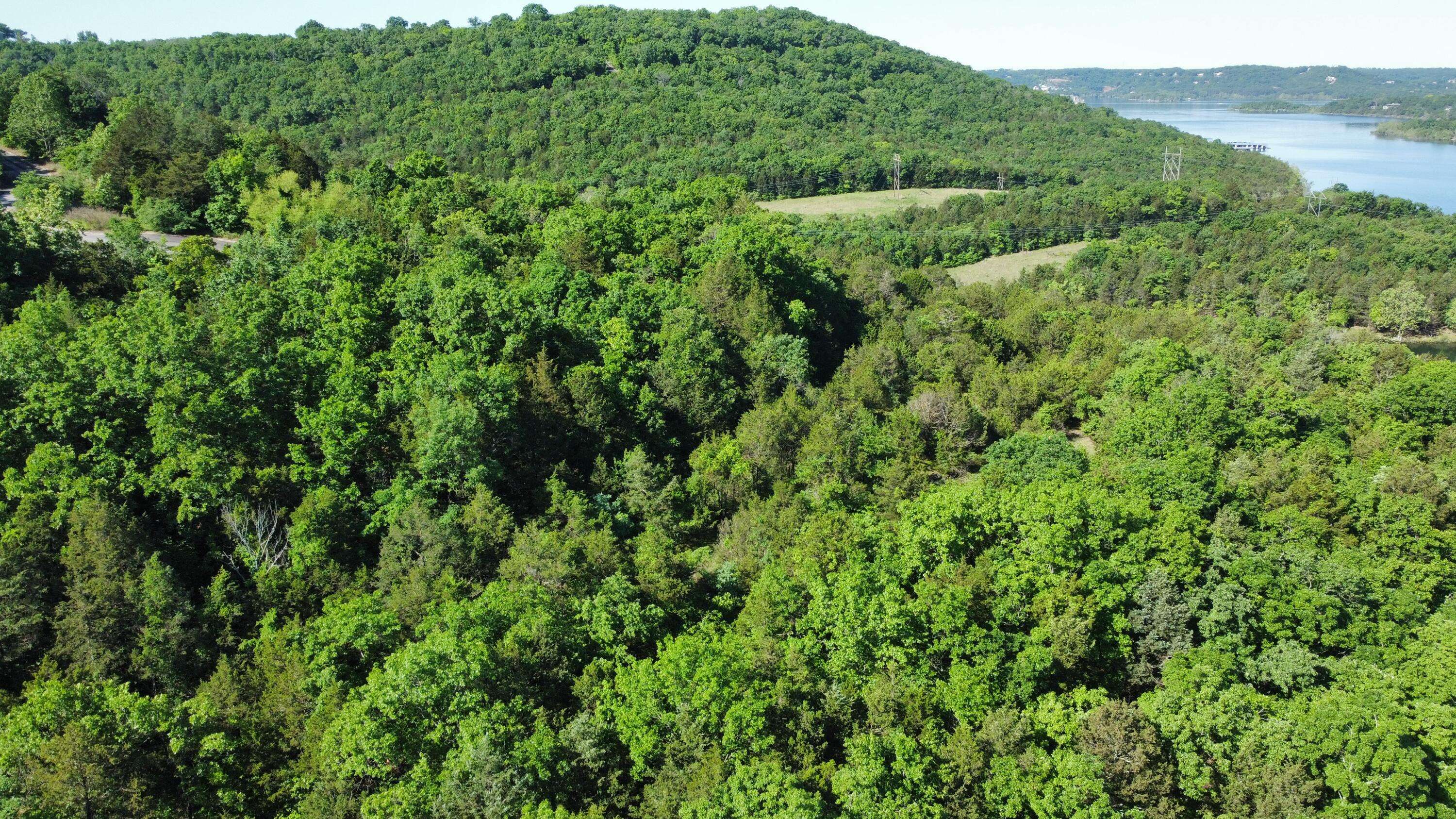 000 Lake Cove Court, Hollister, MO 65672