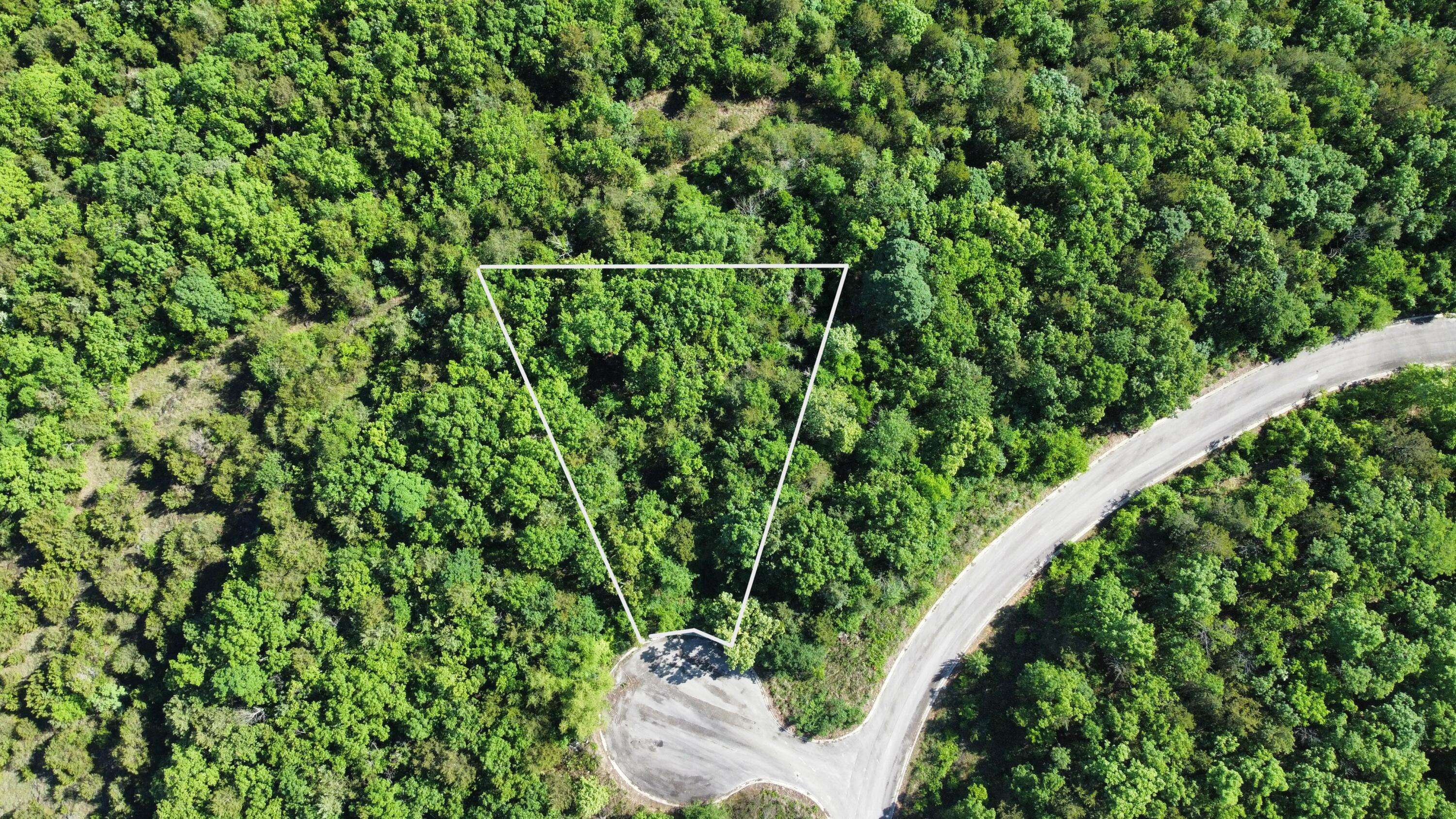 000 Lake Cove Court, Hollister, MO 65672