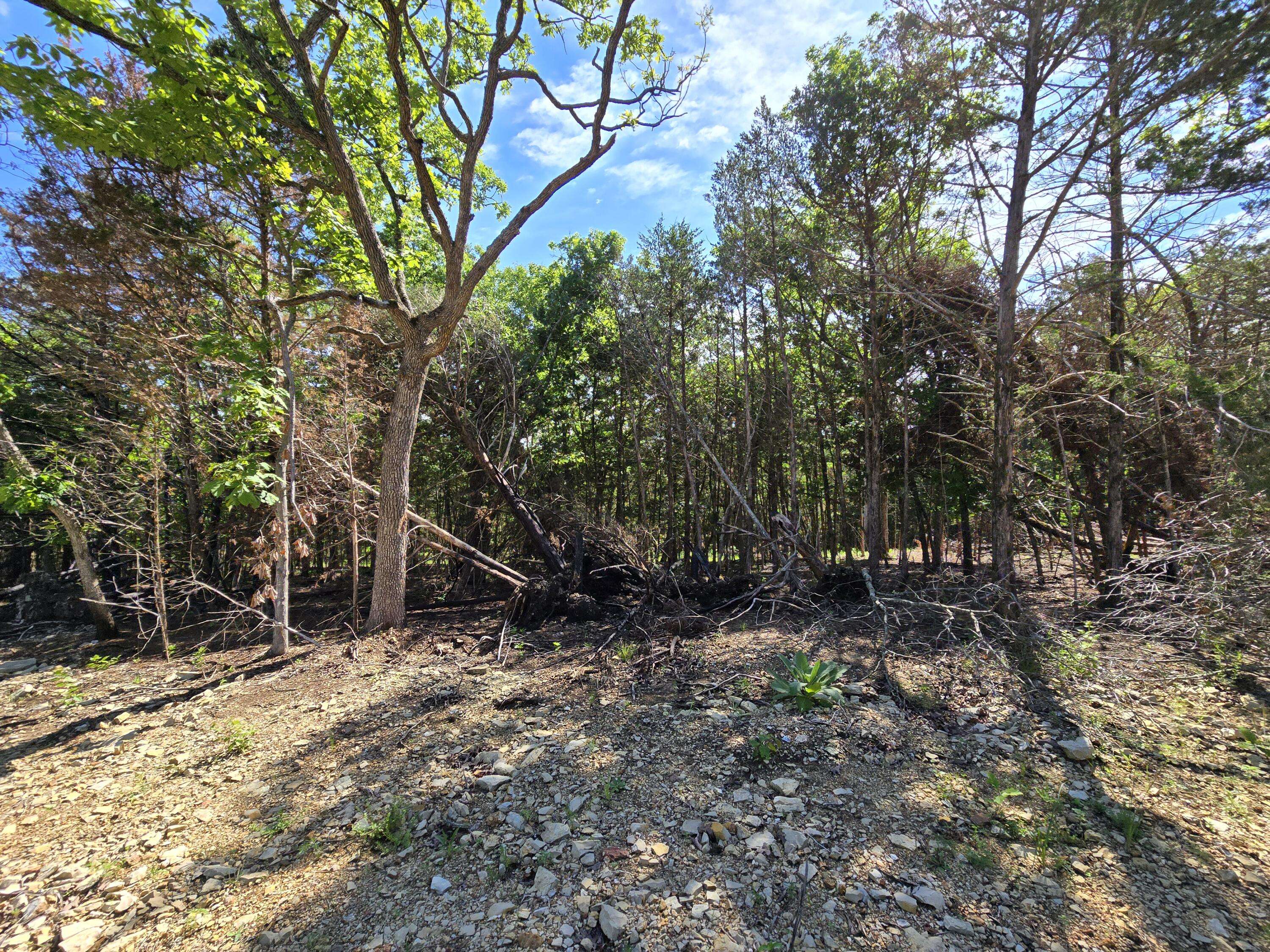 Lot 5 Block 12 Tall Oaks, Pittsburg, MO 65724