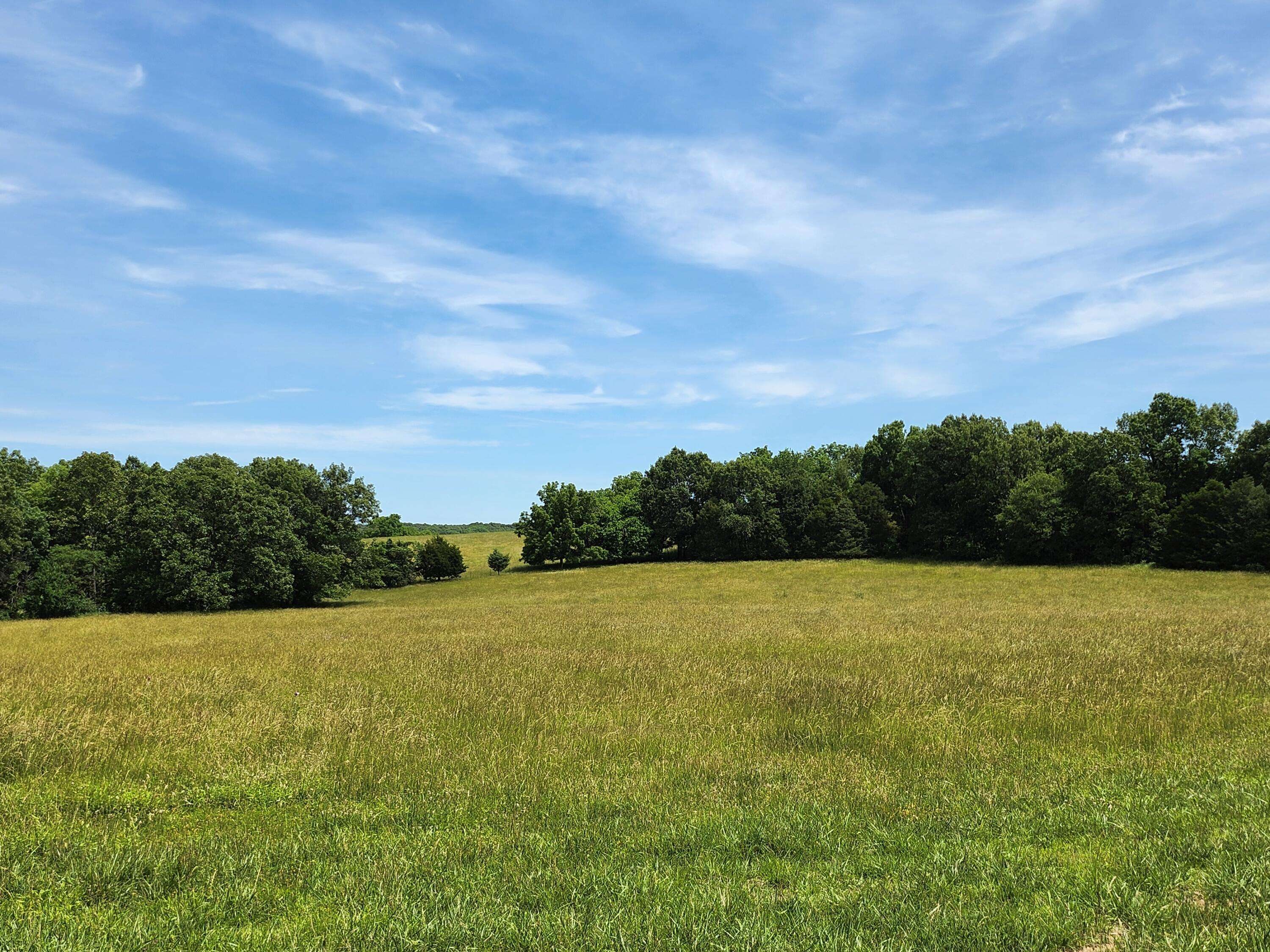 Lot 7 N Farm Road 61, Walnut Grove, MO 65770